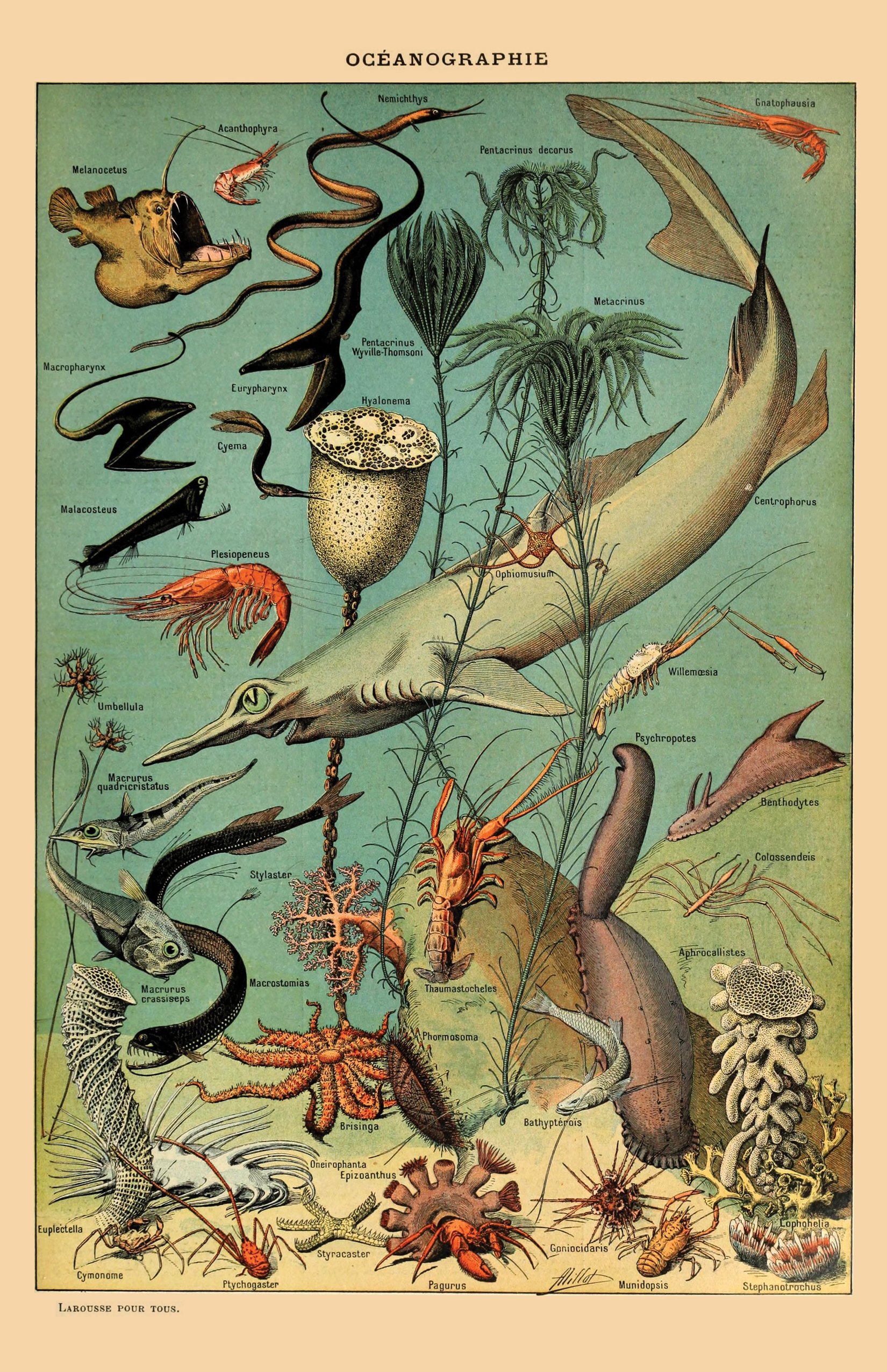 Oceanographie_11x17.jpg