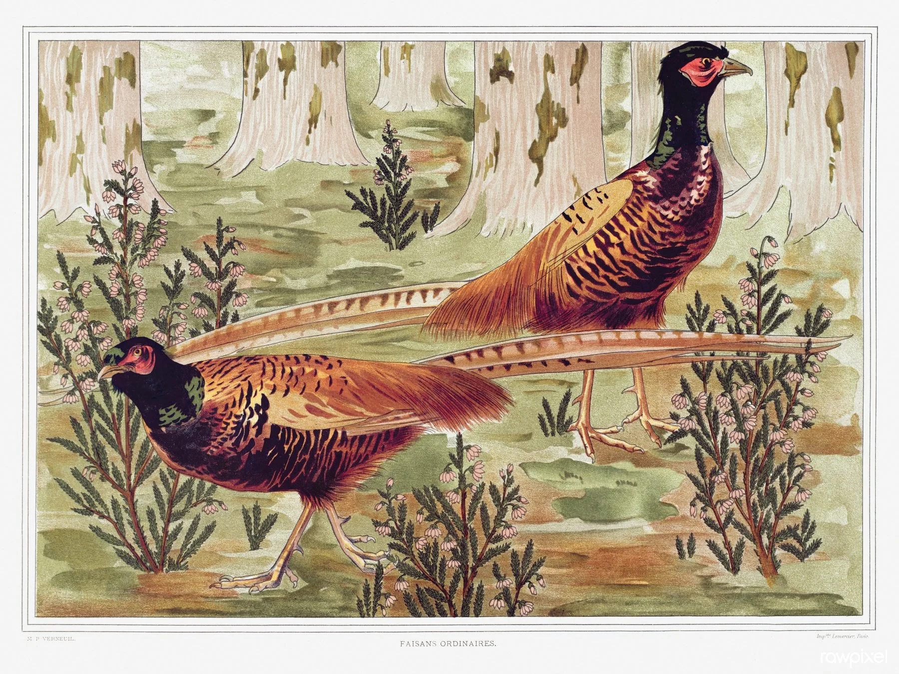Pheasants_18x24.jpg