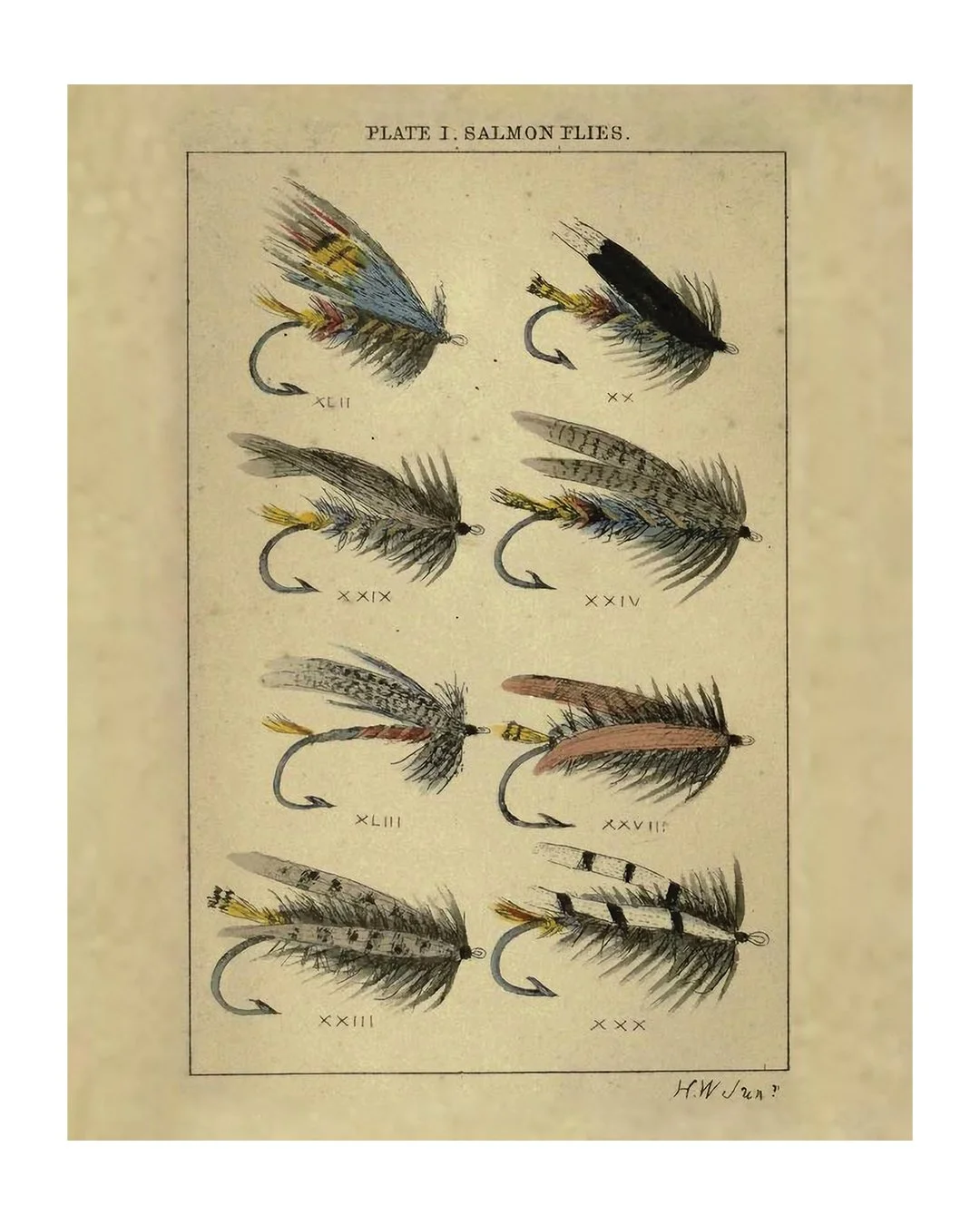 Vintage Salmon Fishing Flies Illustration Print