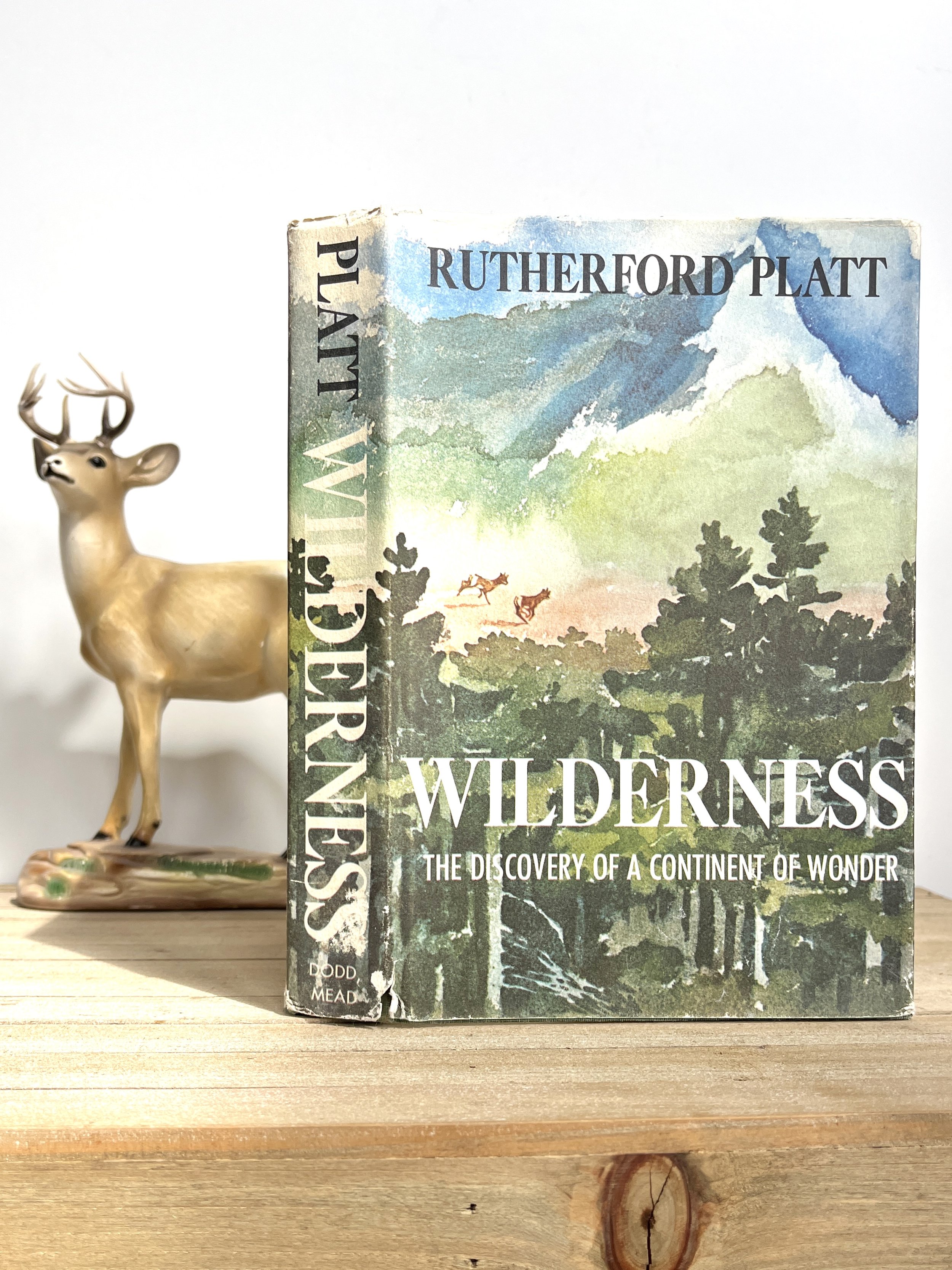 Vintage 1961 Wilderness Book