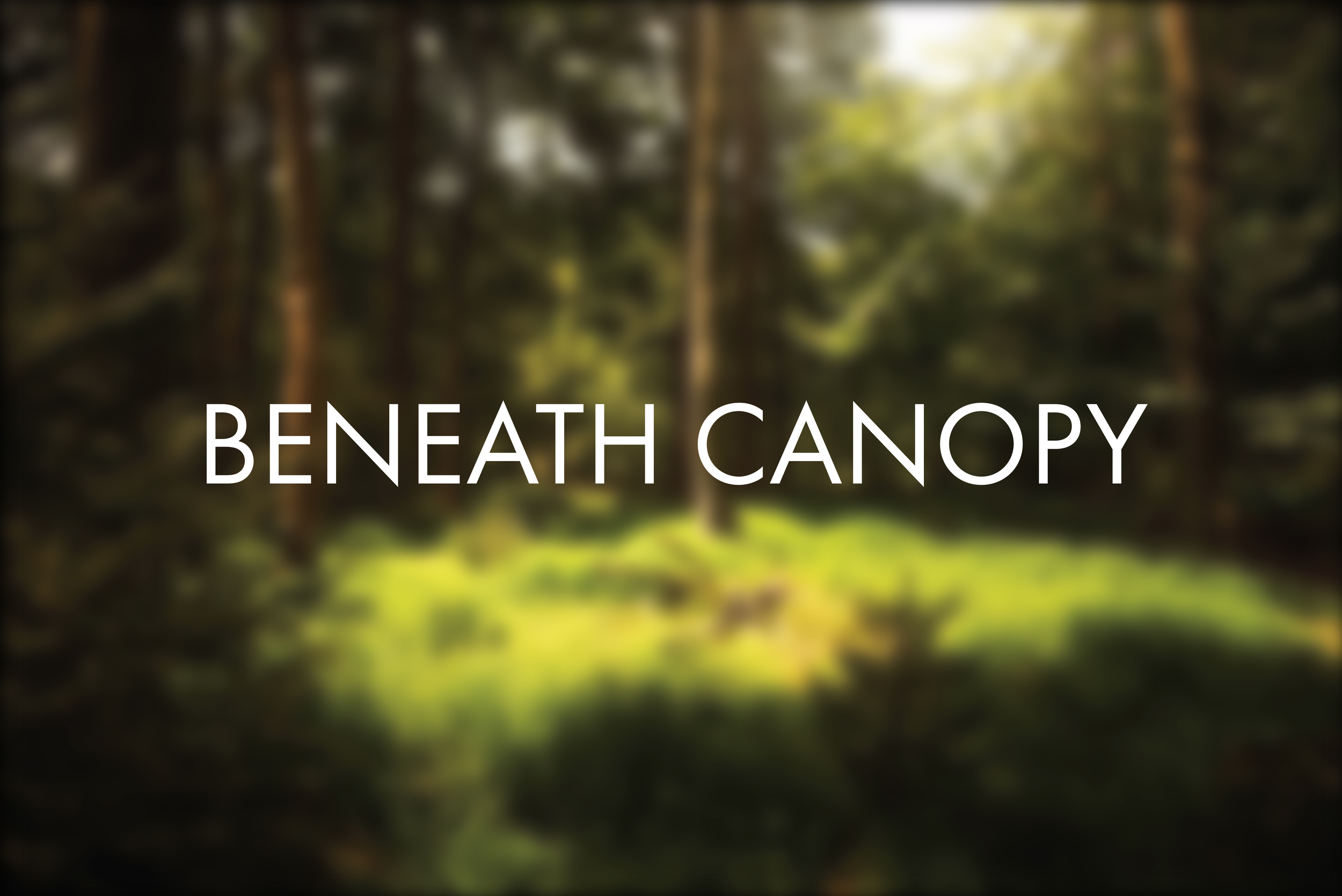 GALLERY TITLES FOR WEBSITE-13.png