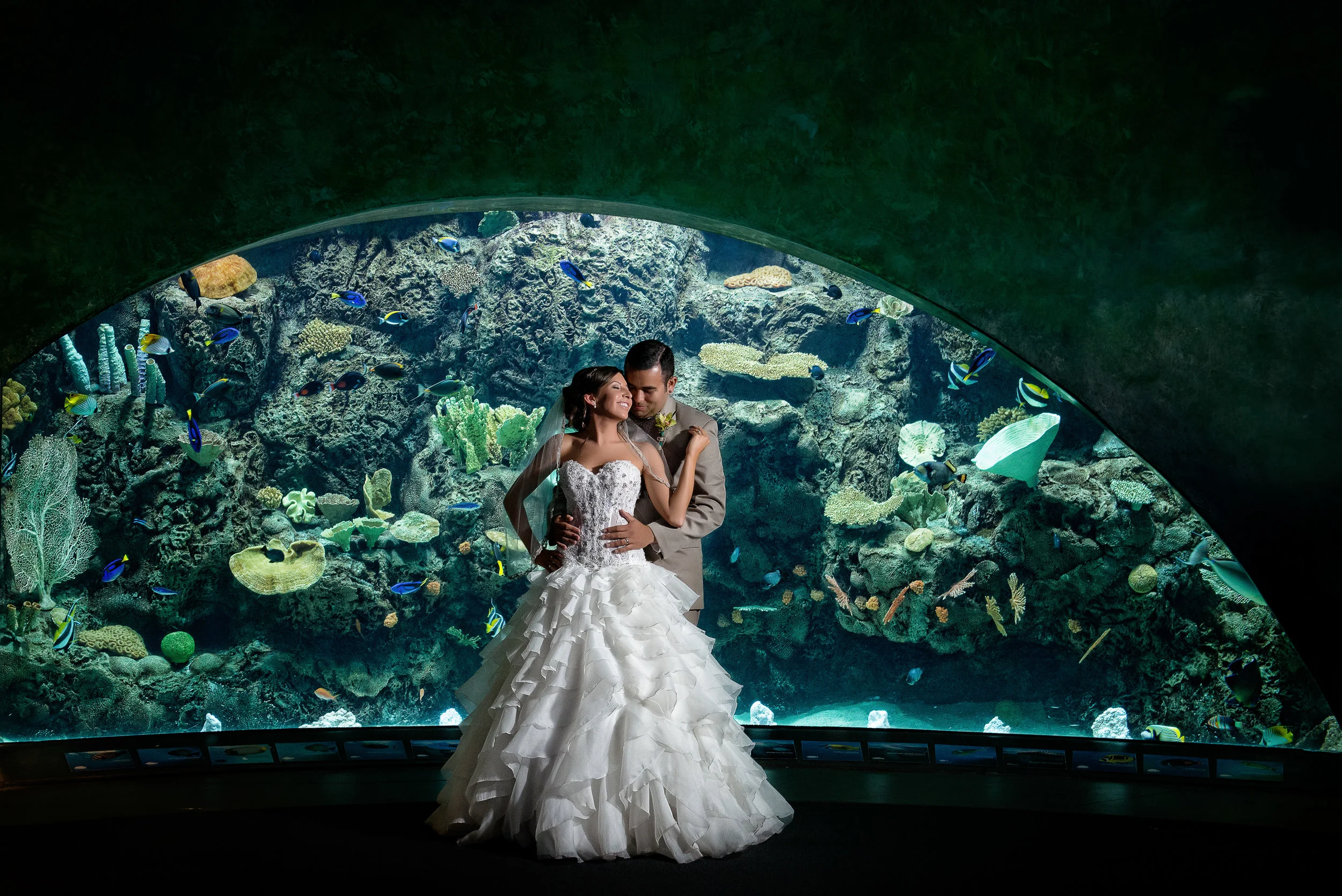 Bride And Groom At Aquarium Of The Pacific Long Beach