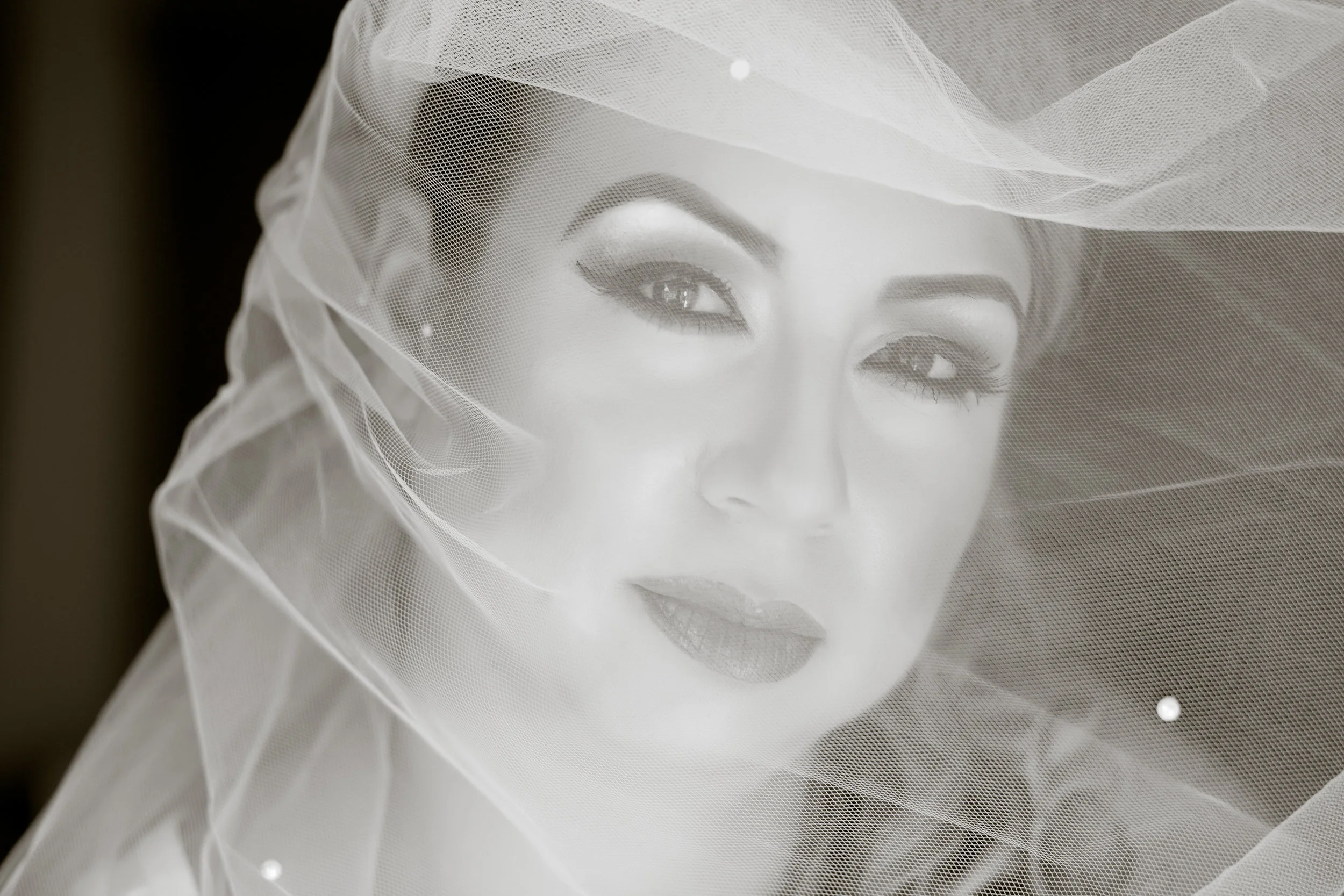 Wedding Portrait of Closeup of Bride Wearing Veil