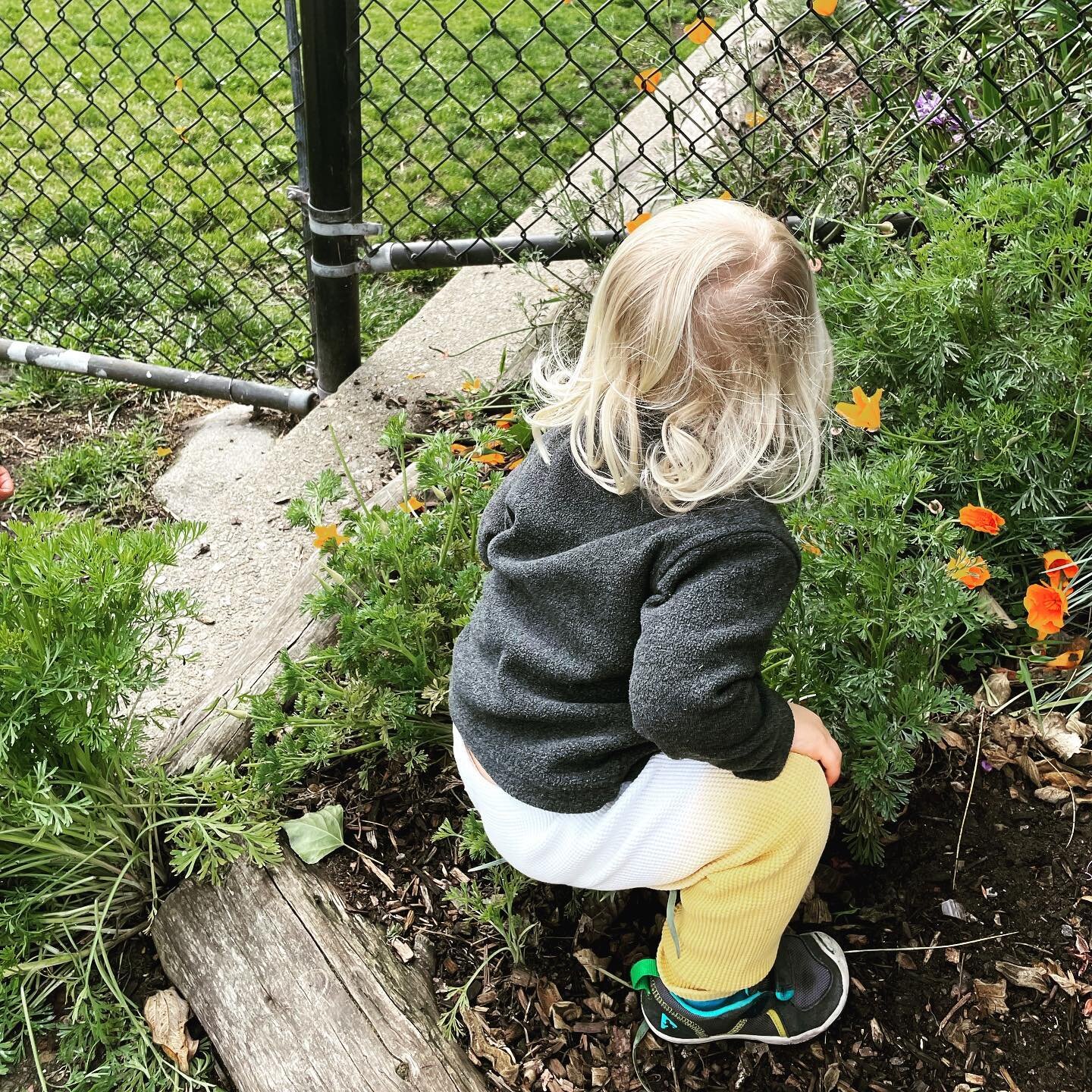 &ldquo;We discovered that education is not something which the teacher does, but that it is a natural process which develops spontaneously in the human being.&rdquo;
&ndash;  Dr. Maria Montessori

This 2-year-old child spent most of his outside time 