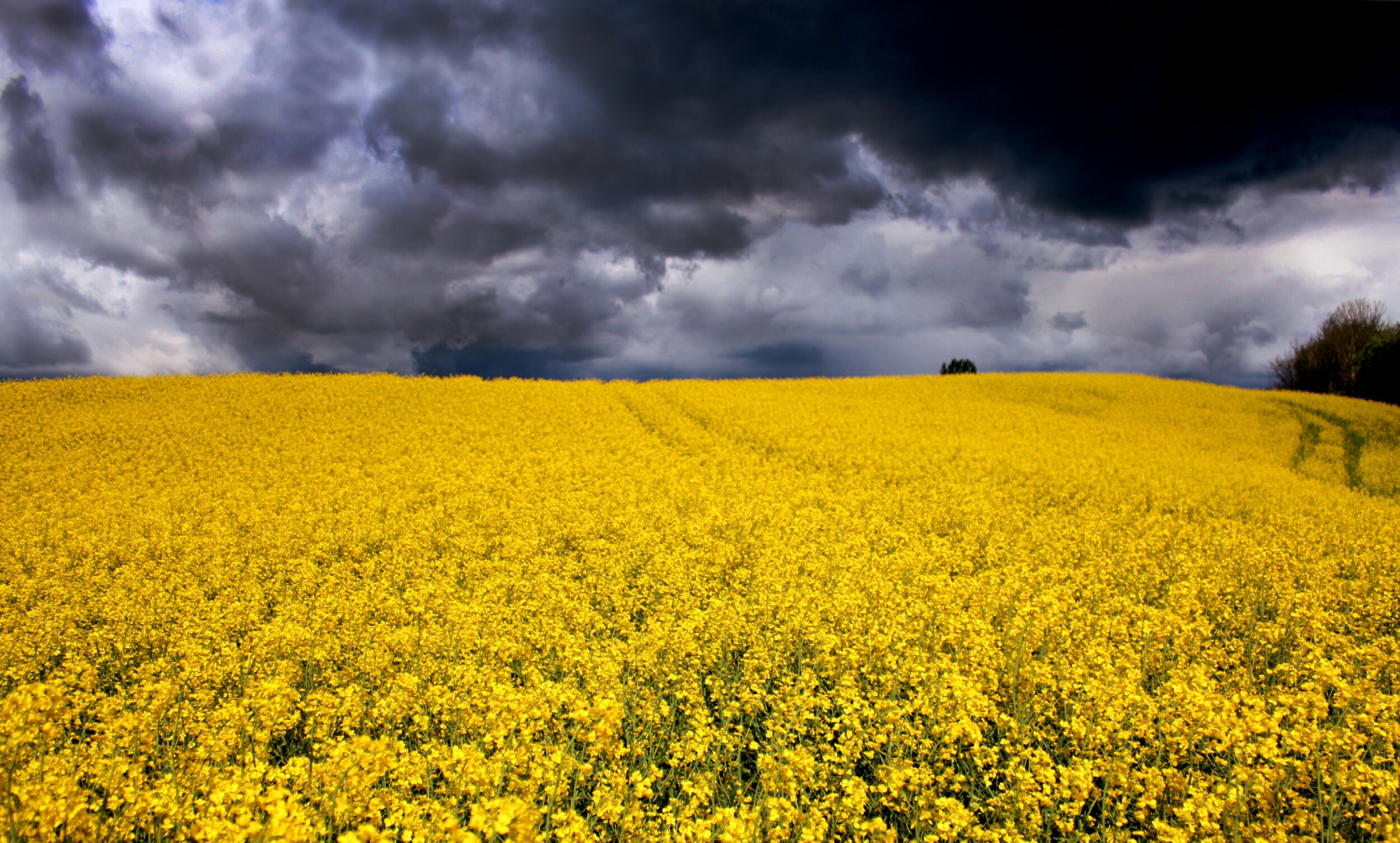 4 steps to rebuilding your business after a crisis