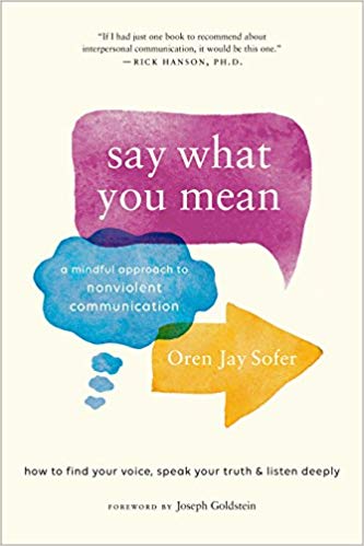 Say What You Mean Oren Jay Sofer Mindful Communication (Copy)