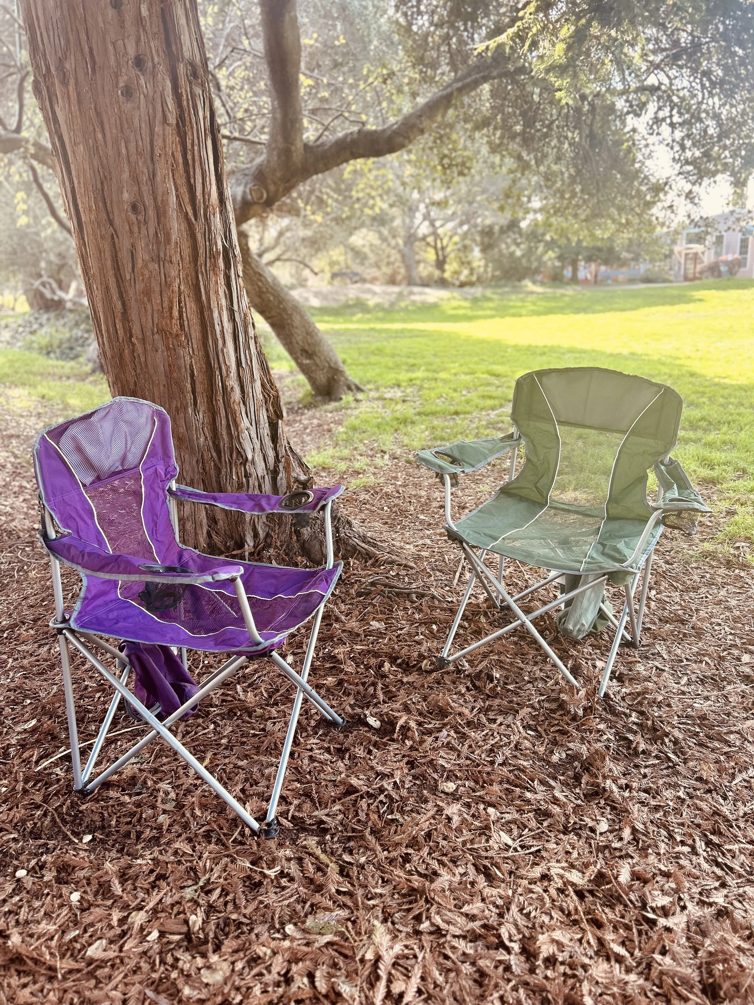 Outdoor Therapy in Berkeley