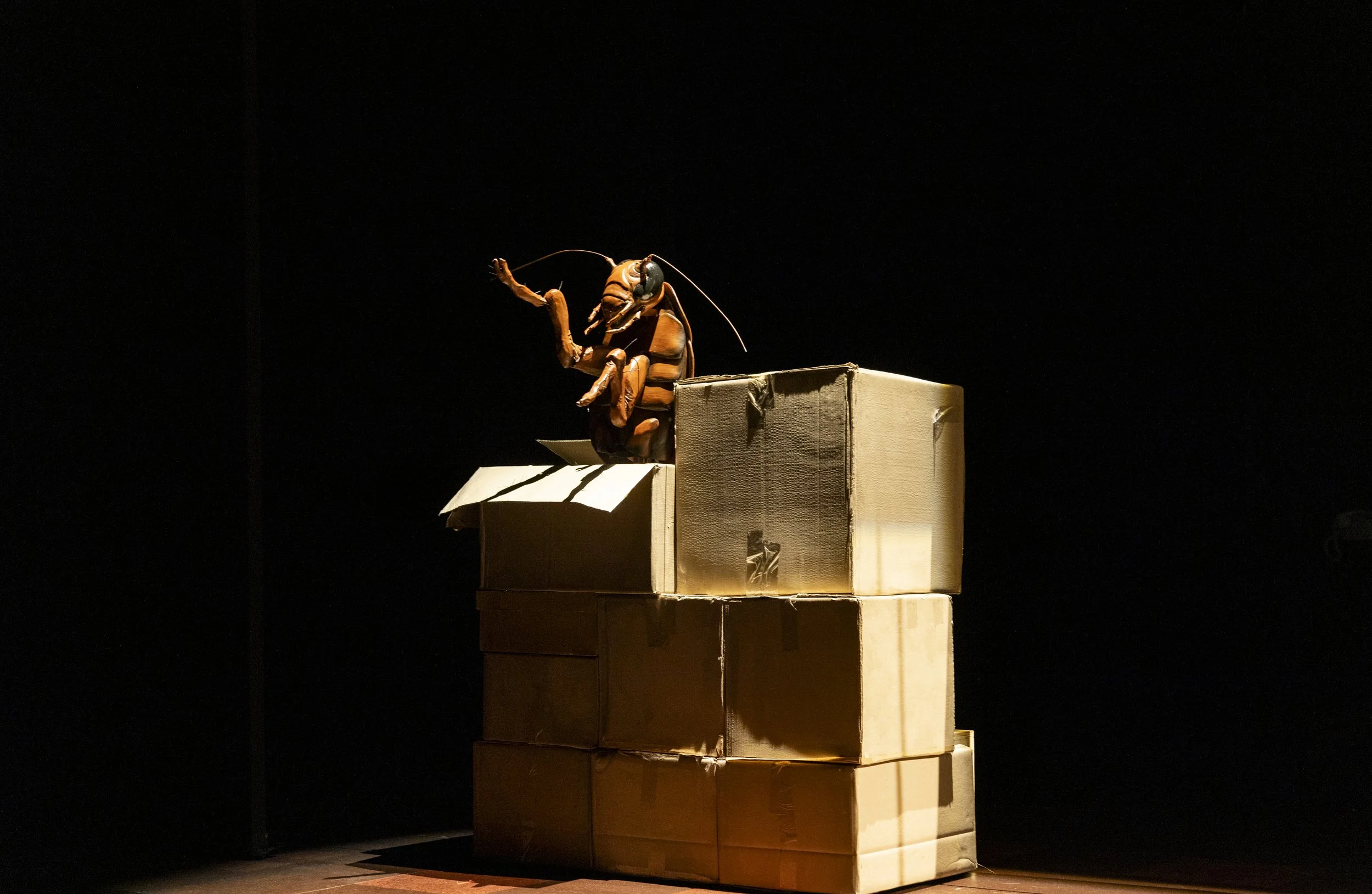 MTC_MotherPlay_Production_PhotoBrettBoardman_008936.jpg