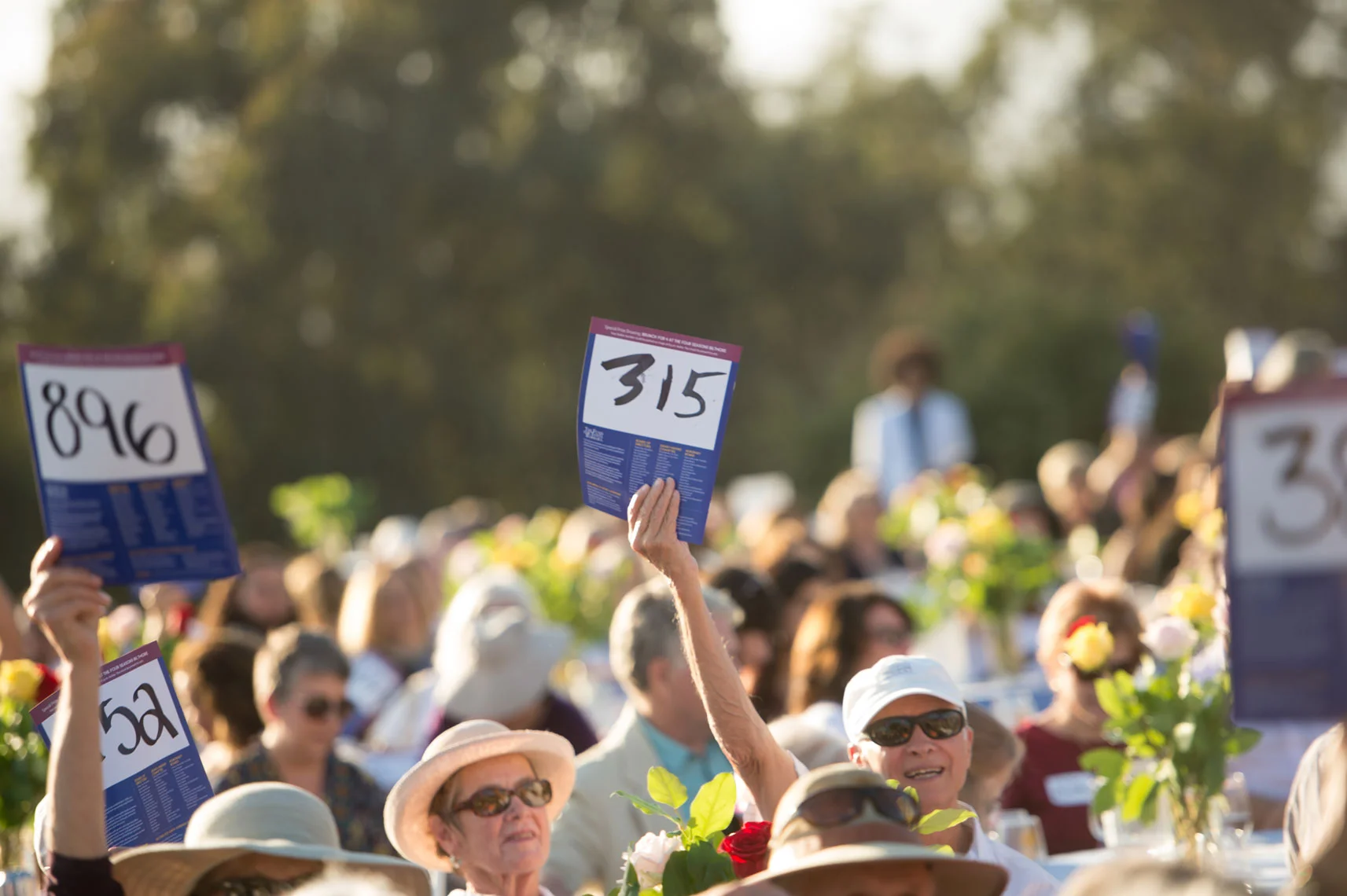 SB-Fund-223.jpg
