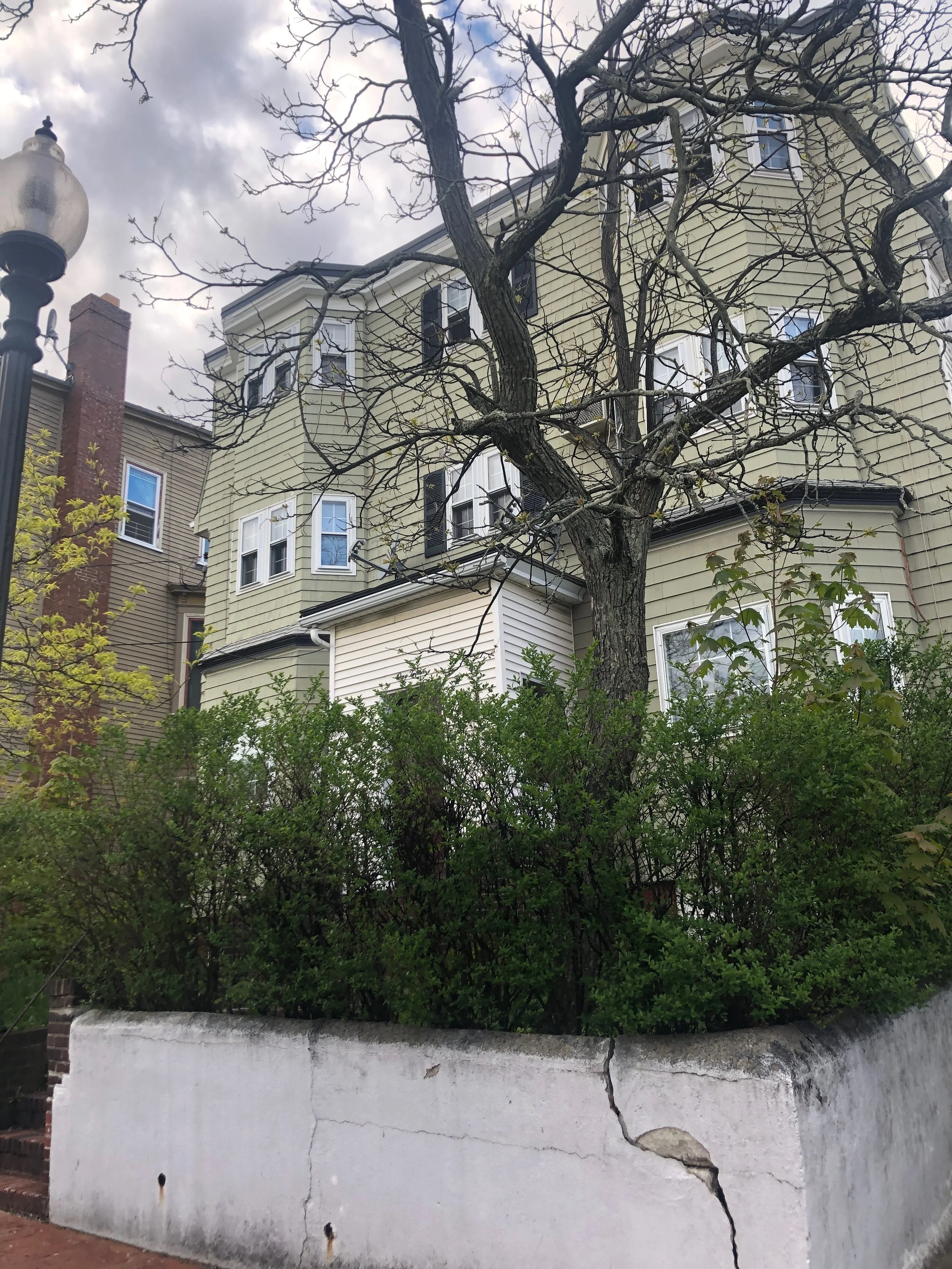 Boston, Thank You. I Can't Say I'm Sorry. 