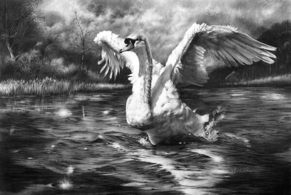 Following Up, With Gratitude