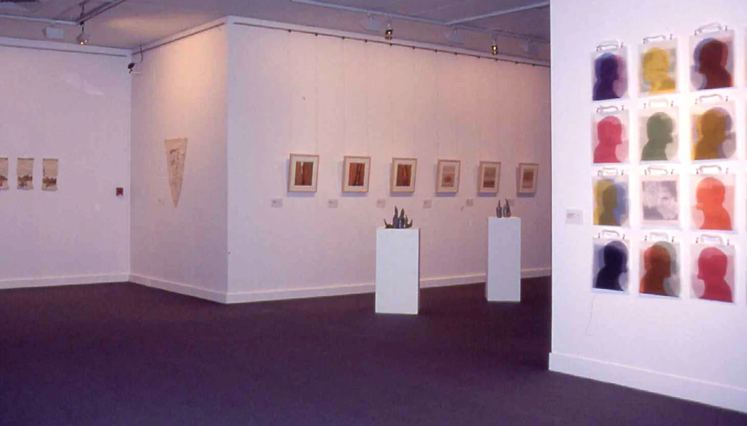 Gallery view, Perc Tucker Regional Gallery Townsville