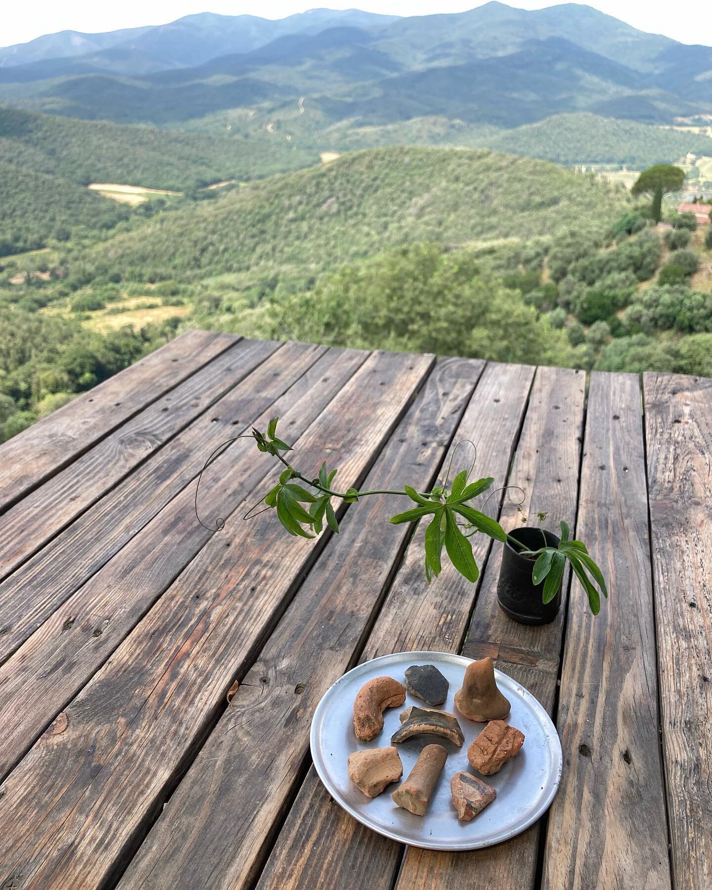 Memories of travel mementos lost with a stolen suitcase &hellip; Etruscan chards from a hillside in Vetulonia &hellip; a vintage porcelain insulator washed up in the cove of San Fruttuoso &hellip; a miniature underwater garden from a glass artisan in