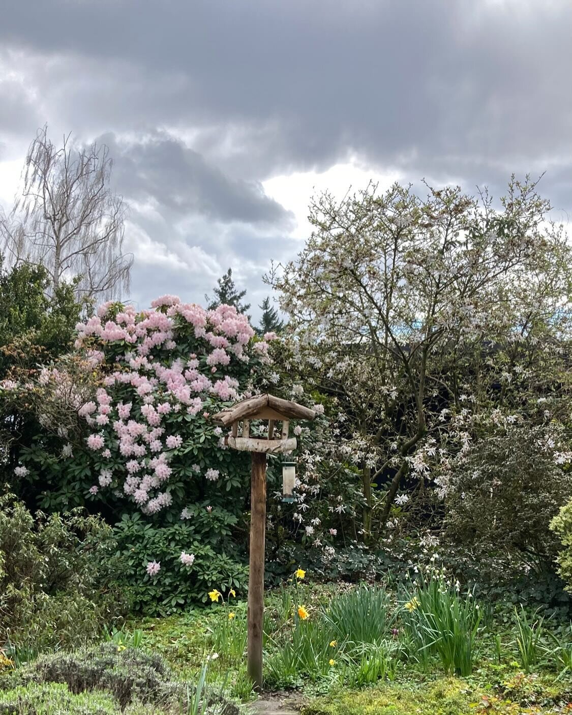 Happy Easter &hellip; from my childhood garden 🌿

#botanicalpickmeup
