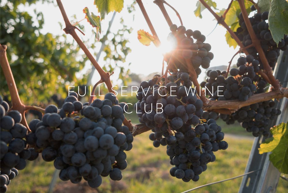 Wine-Club-Development-Group-web-2.jpg
