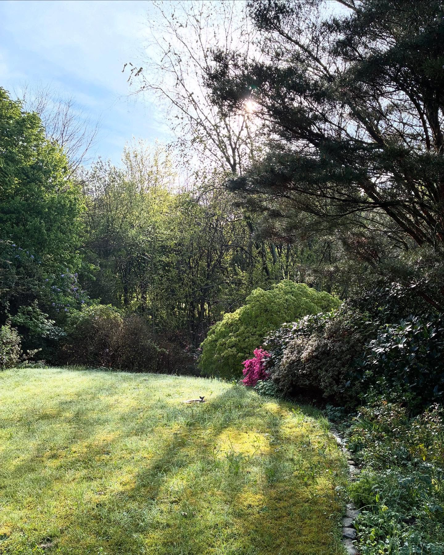 Another ride around the sun and a garden that&rsquo;s been around for as long as I remember 🌿

#birthday
#memories