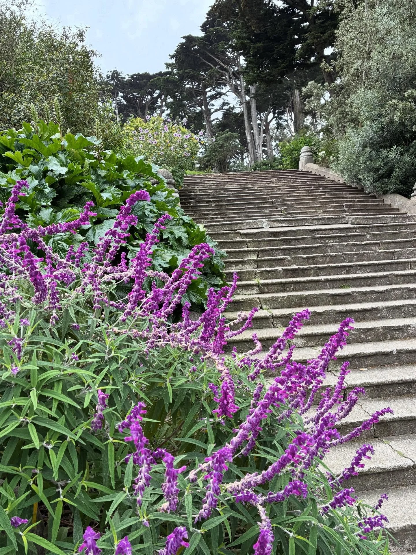 Another ride around the sun &hellip; and California spring in full swing