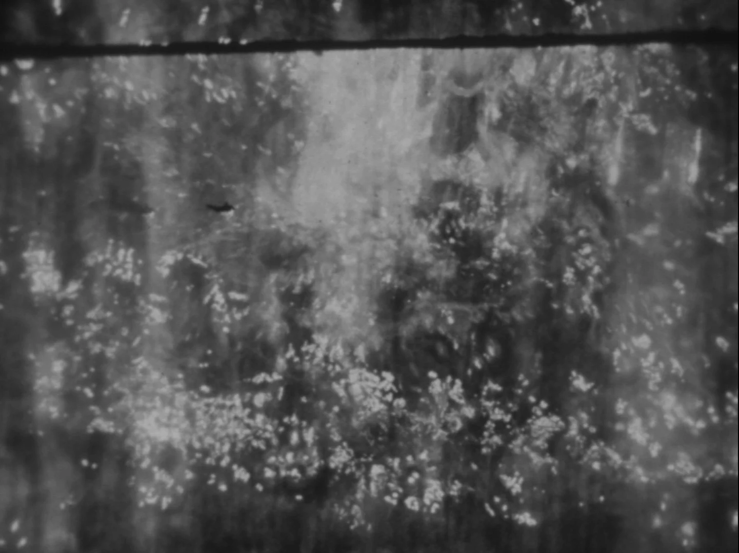 watercourse01.jpg