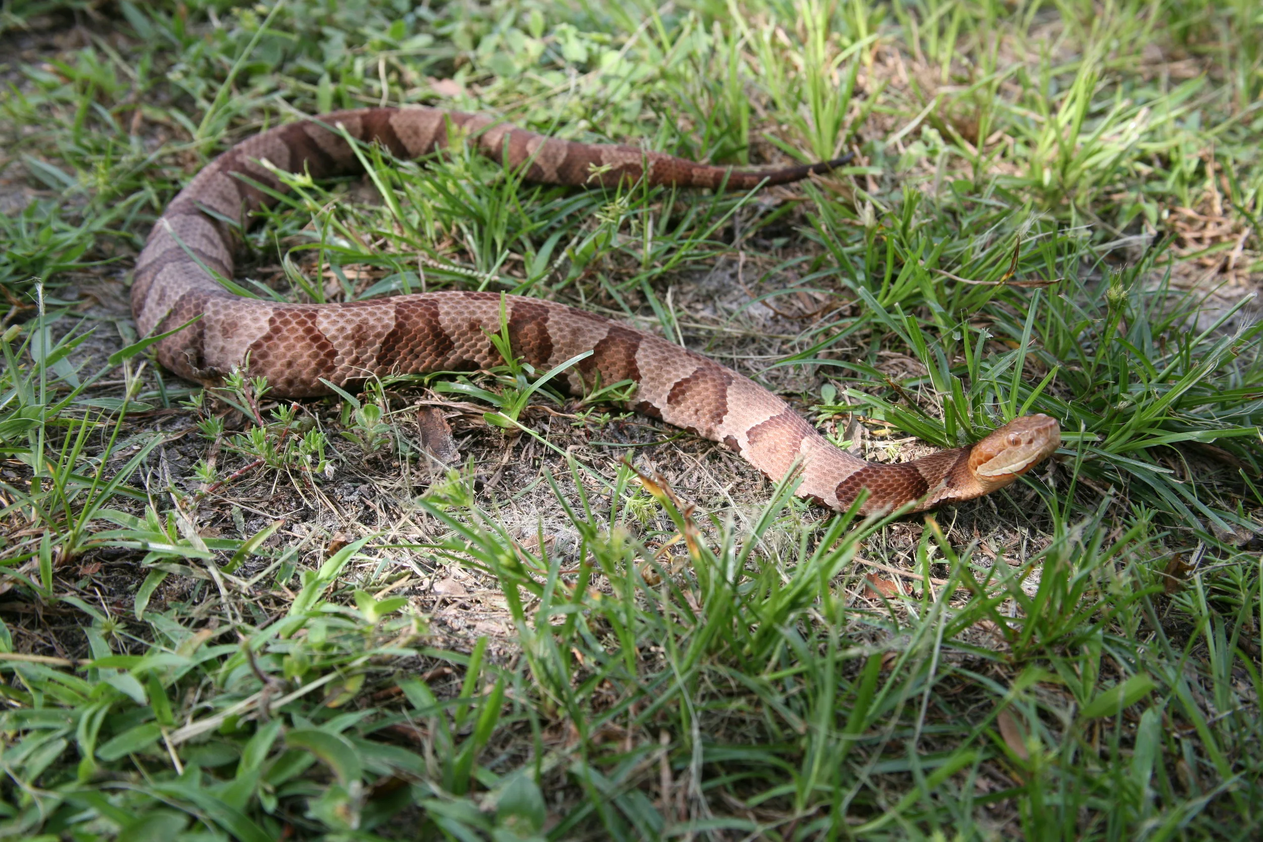 Image0325.jpg