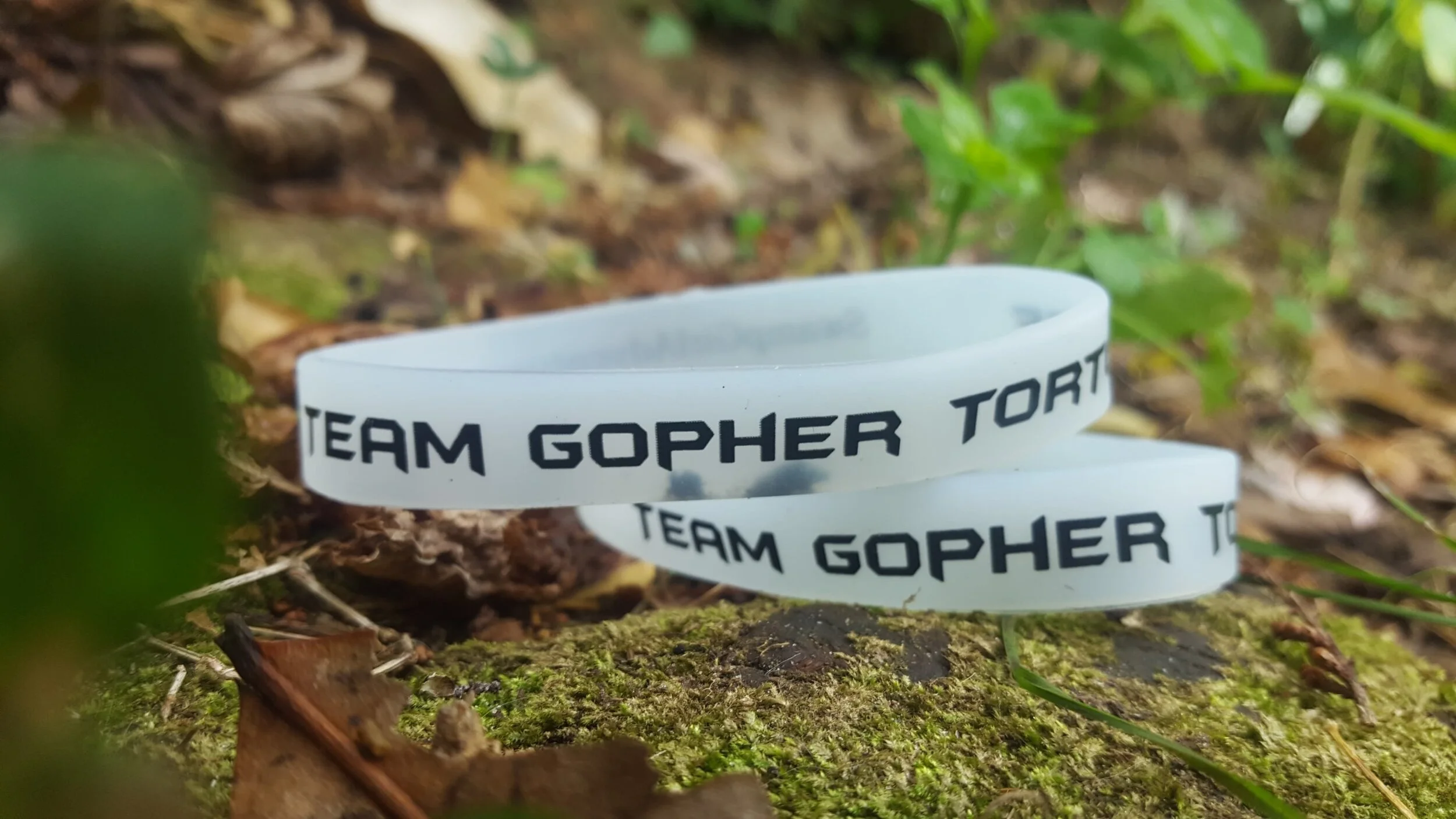 Team Gopher Tortoise - glow bracelet