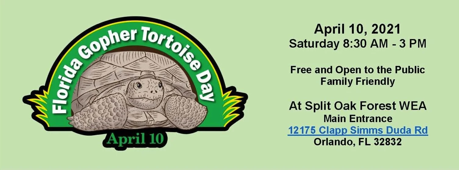 Florida Gopher Tortoise Day