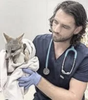 Vet Talk-Lead Toxicity In Wildlife