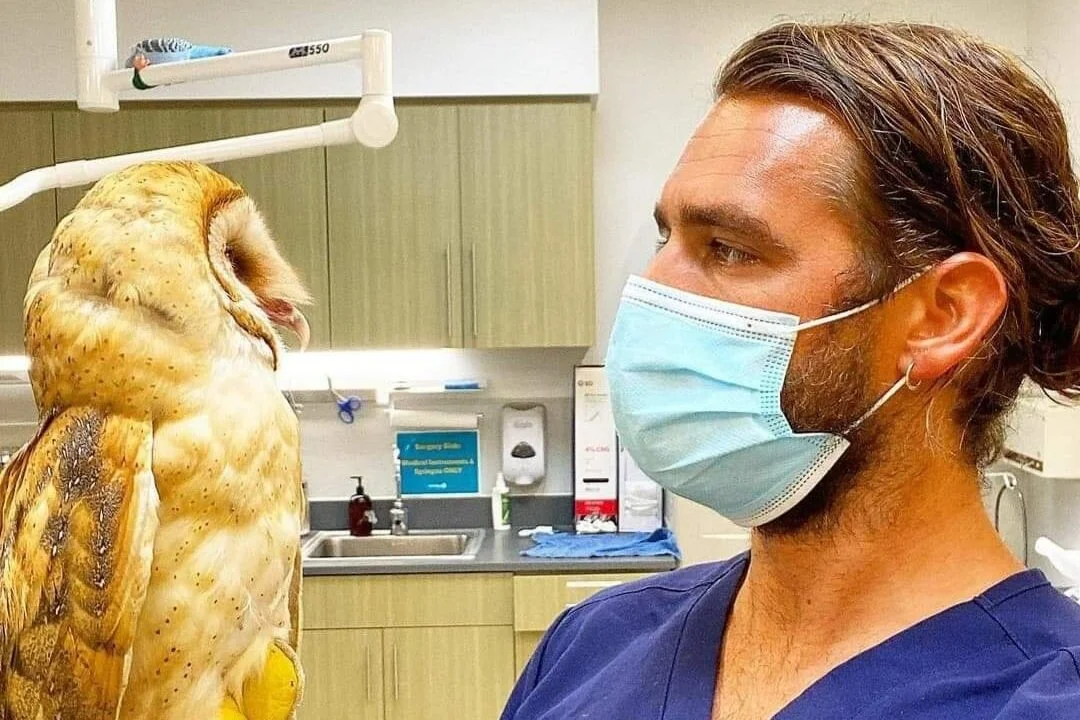 Vet Talk - Rat Poison and Raptors