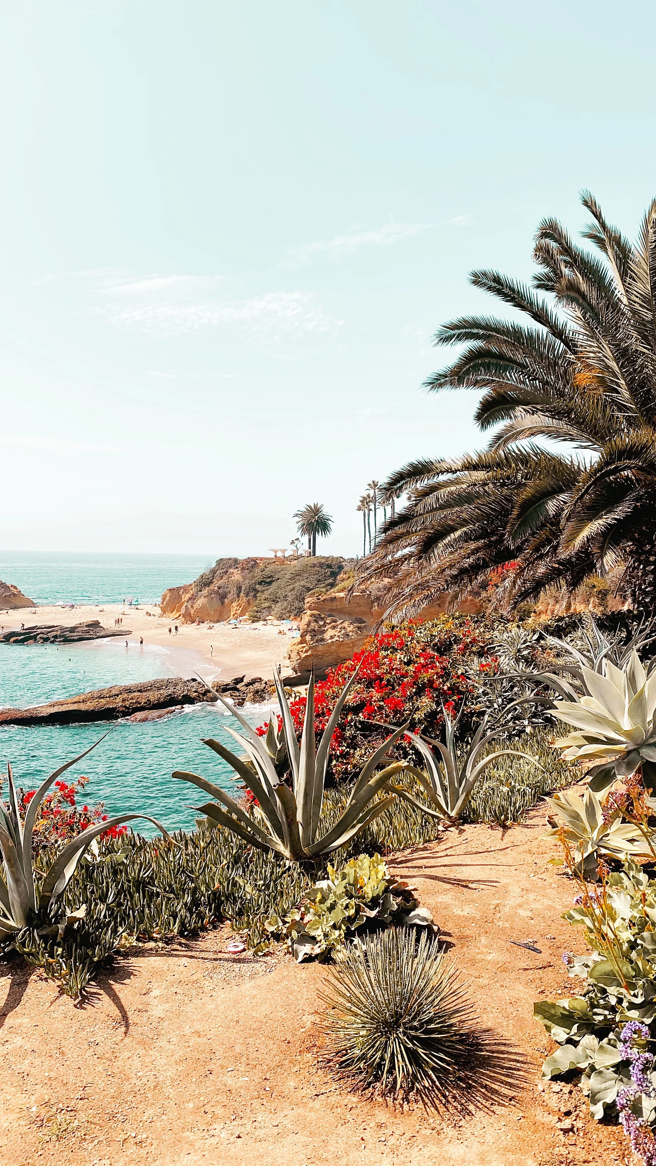 PHOTOGRAPHY / LAGUNA BEACH, CA