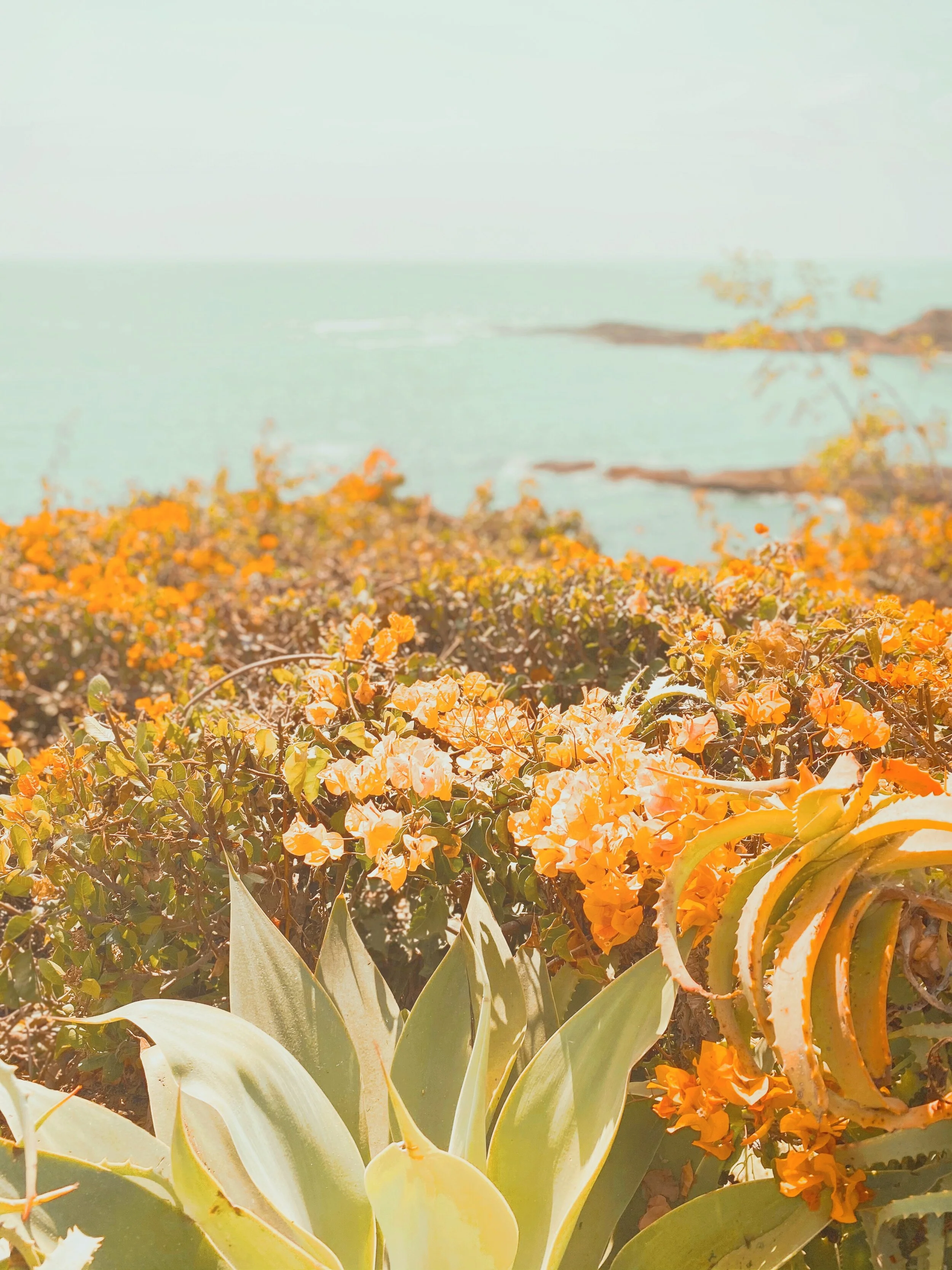 PHOTOGRAPHY / LAGUNA BEACH, CA