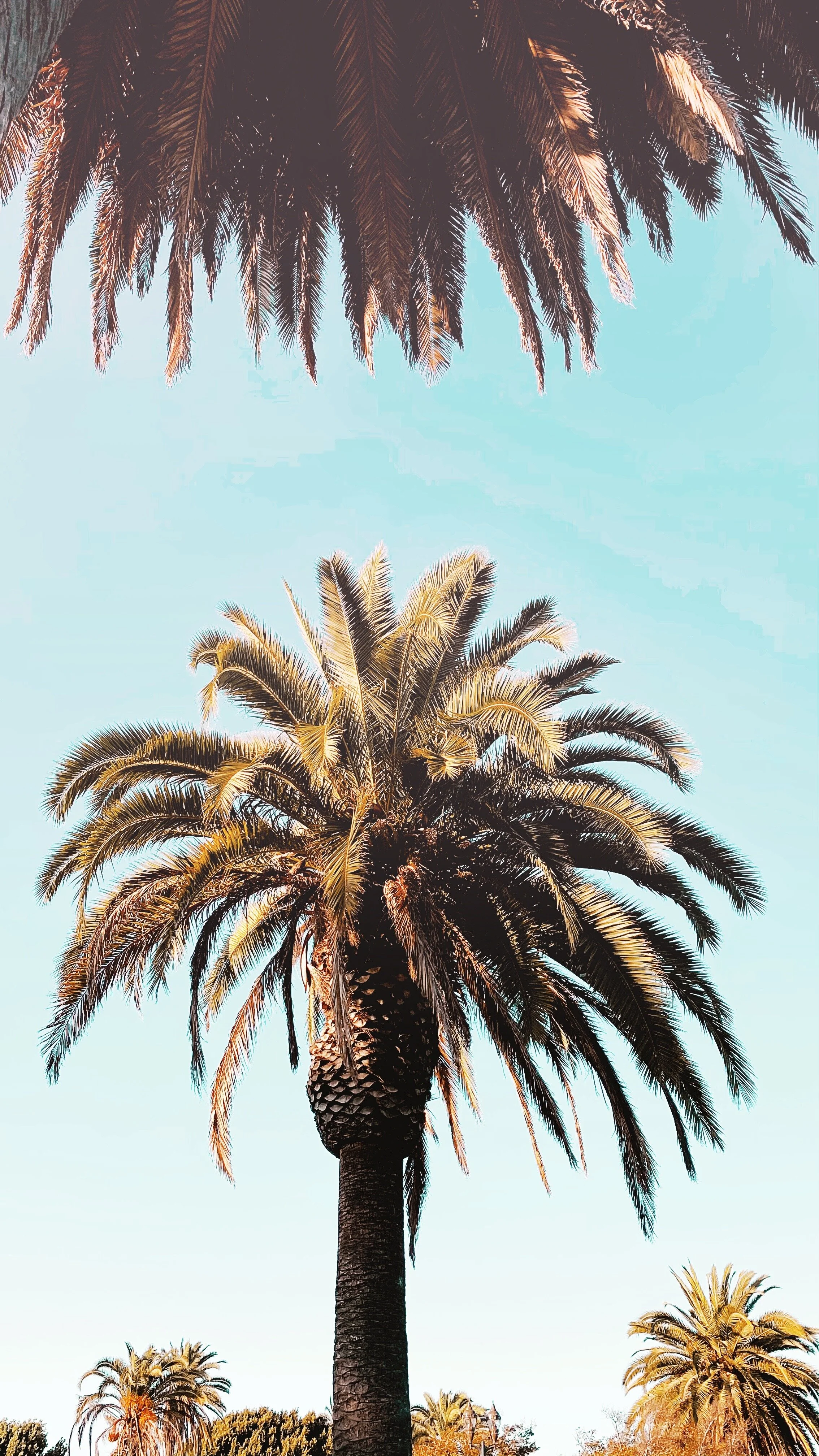 PHOTOGRAPHY / SAN DIEGO, CA