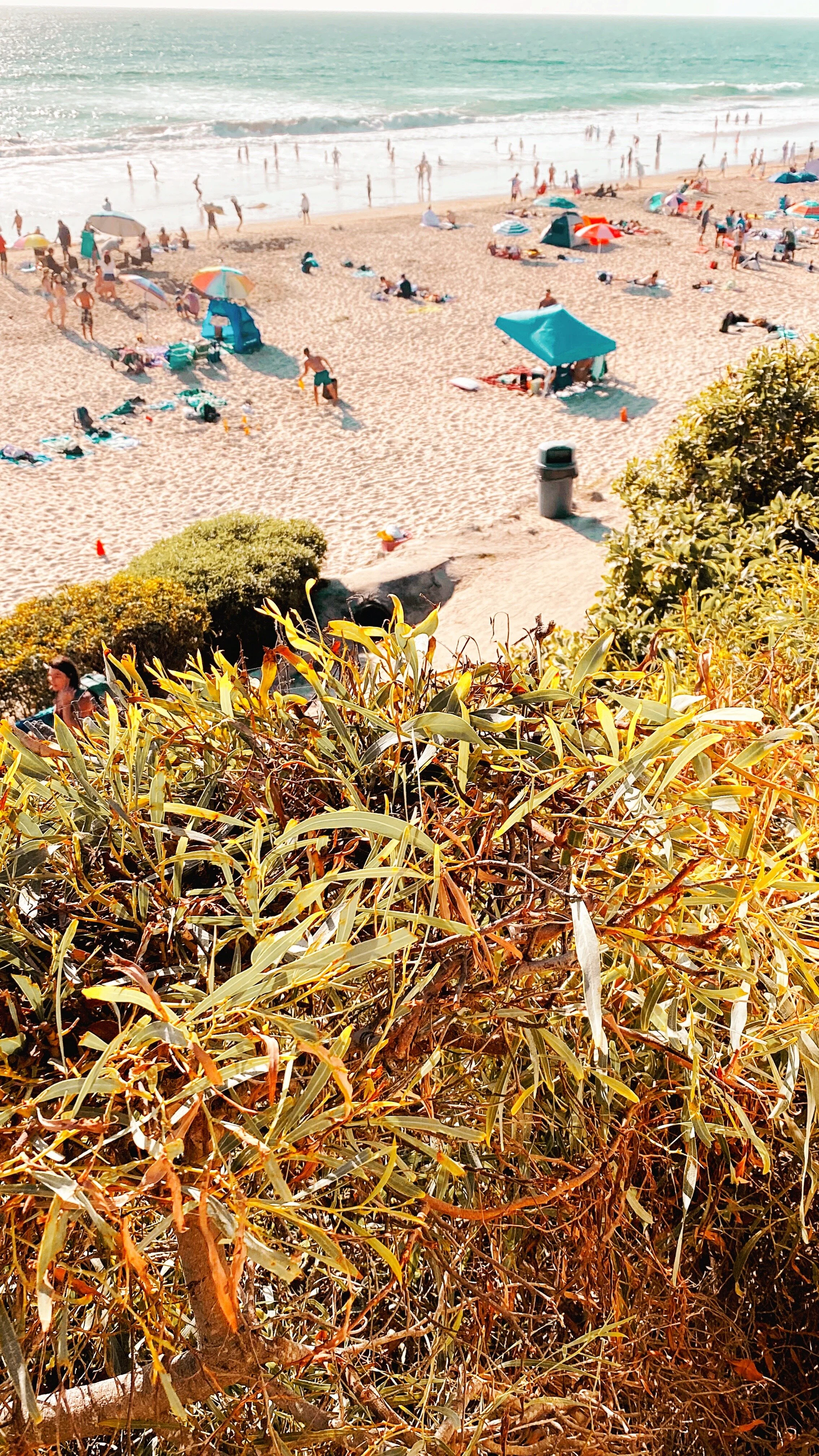 PHOTOGRAPHY / DANA POINT, CA