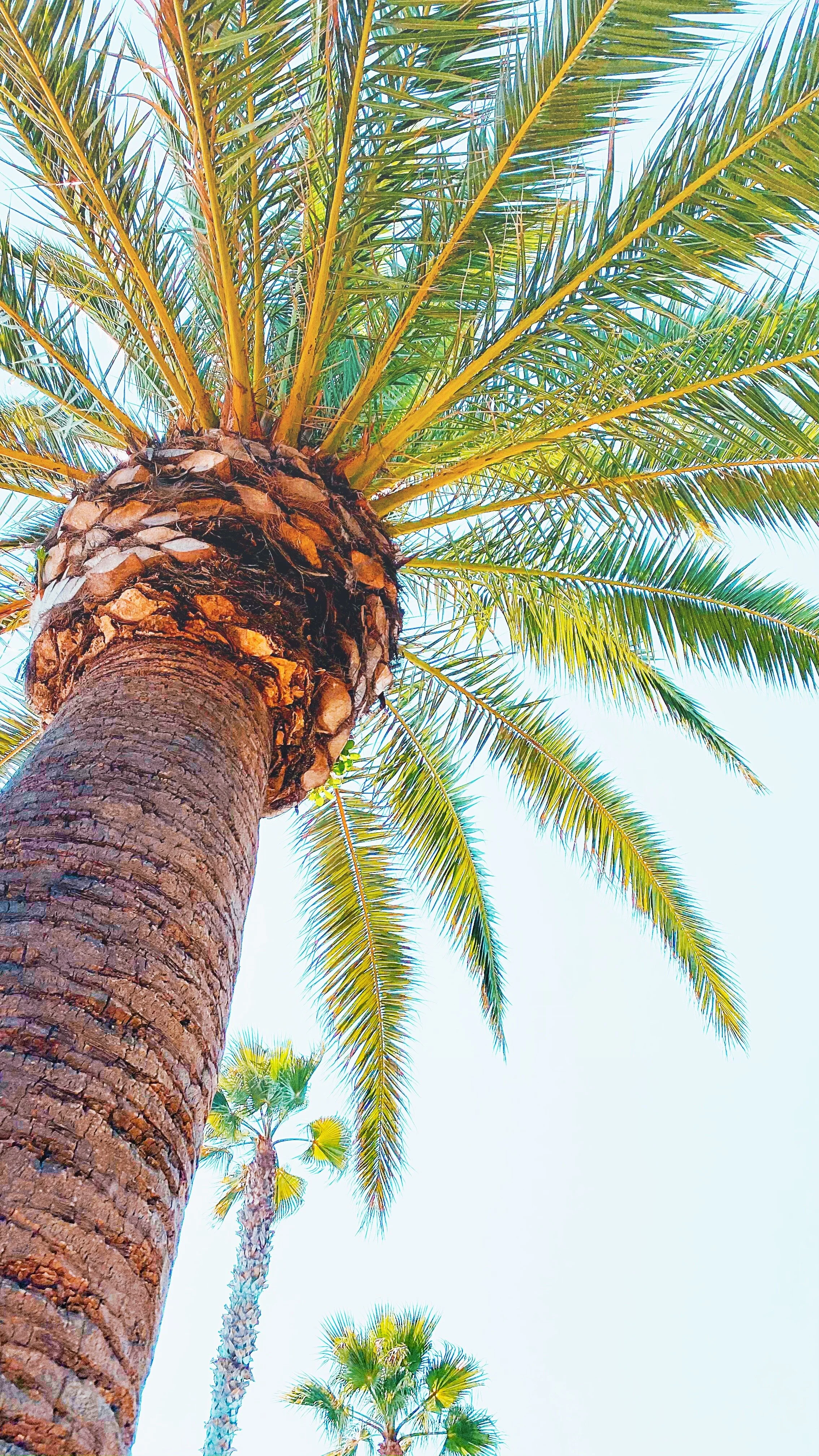 PHOTOGRAPHY / SAN DIEGO, CA