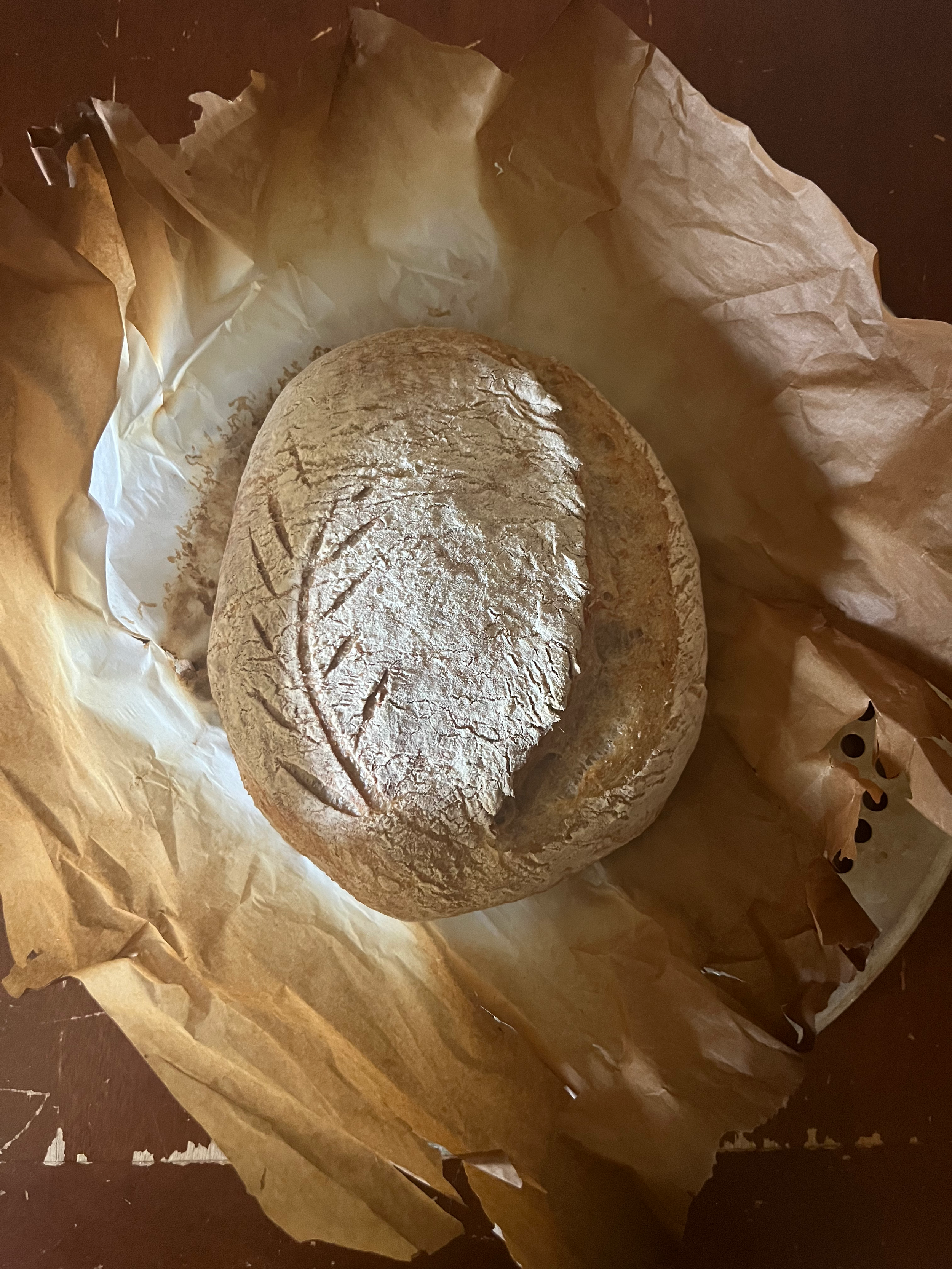 x_Sourdough_FirstLoaf.png