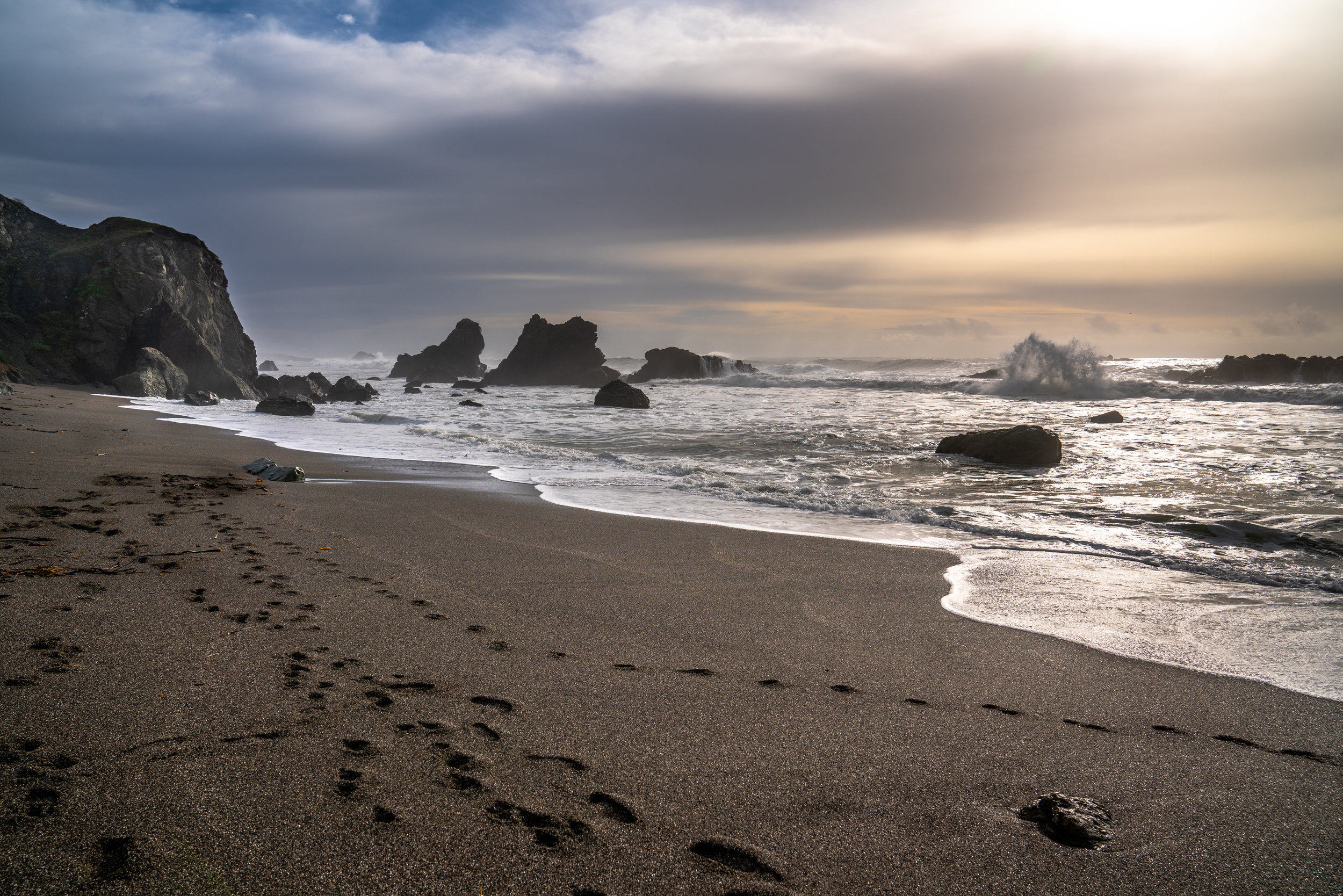 shellbeachfootprints-1.jpg