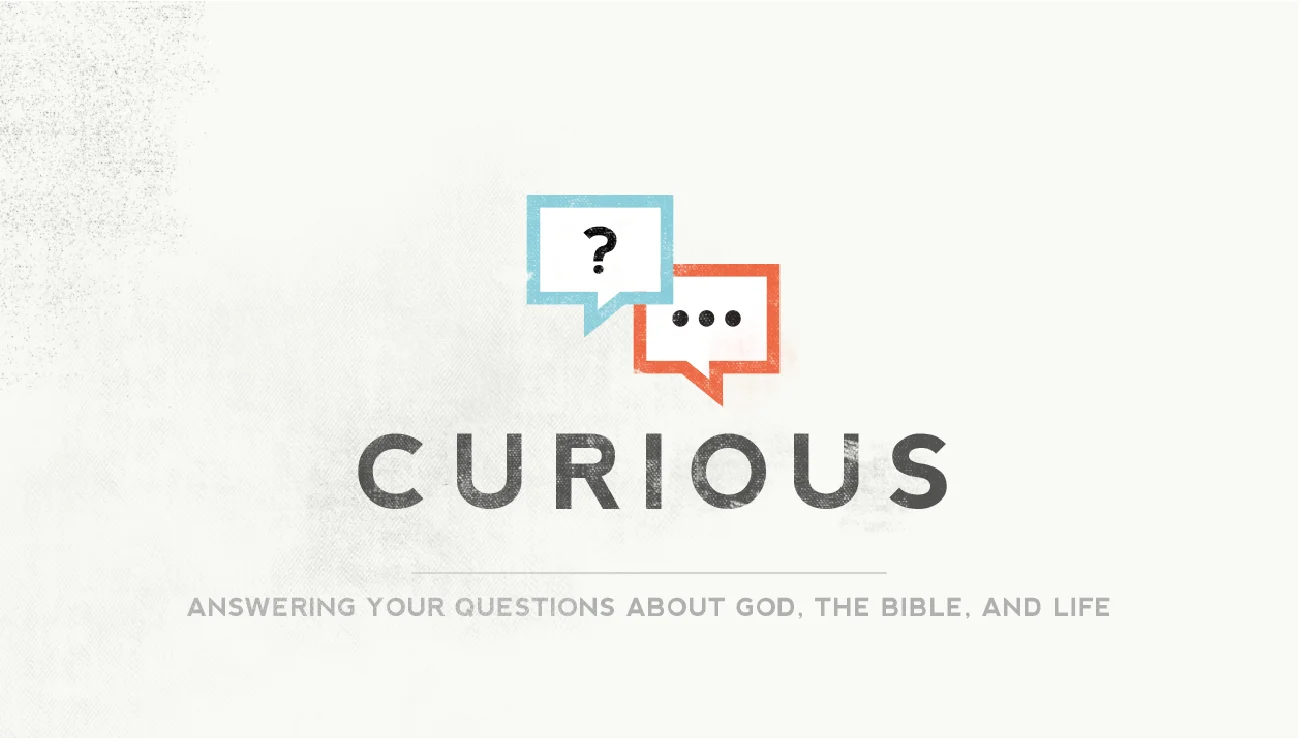 LC_Curious_Slide_Screen.jpg