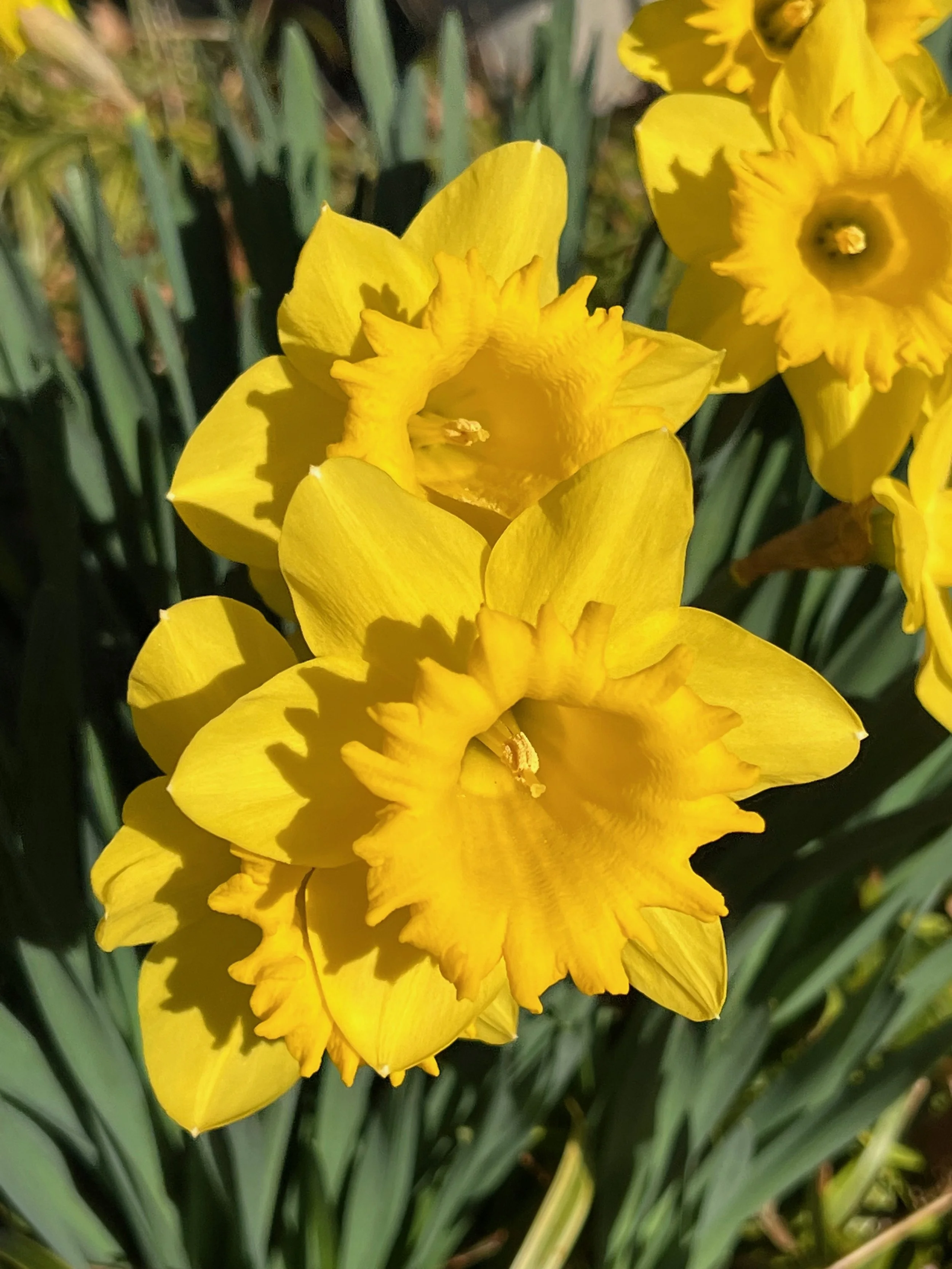 What Are You Becoming?