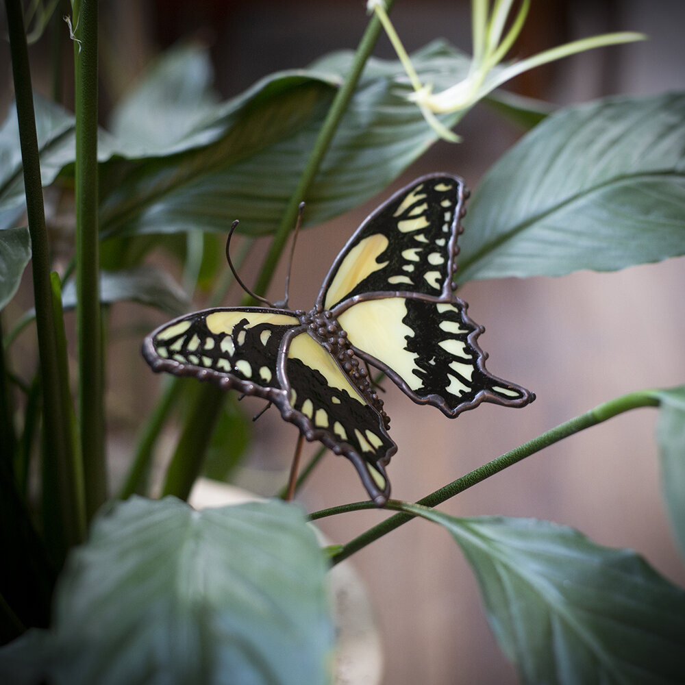 Butterflyplantstake02.jpg
