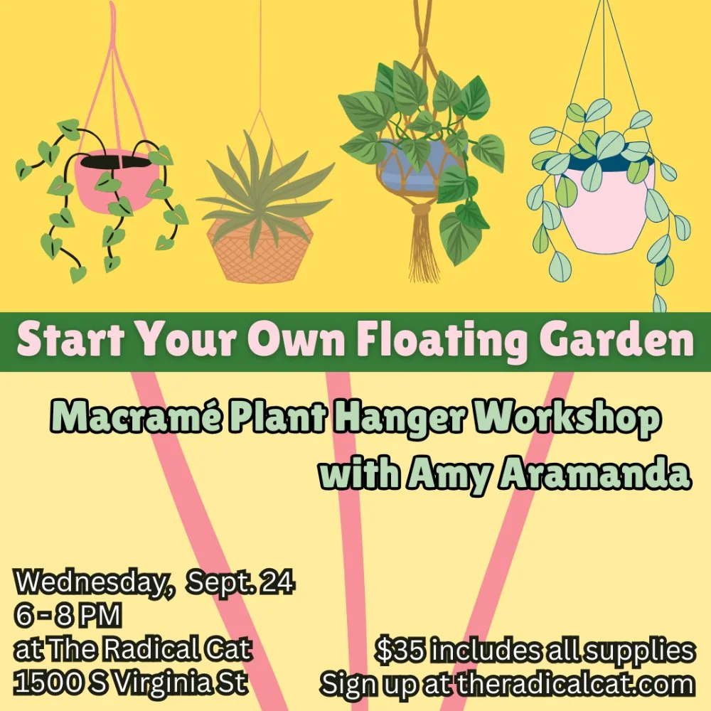 Floating Garden Macrame Plant Hanger Workshop