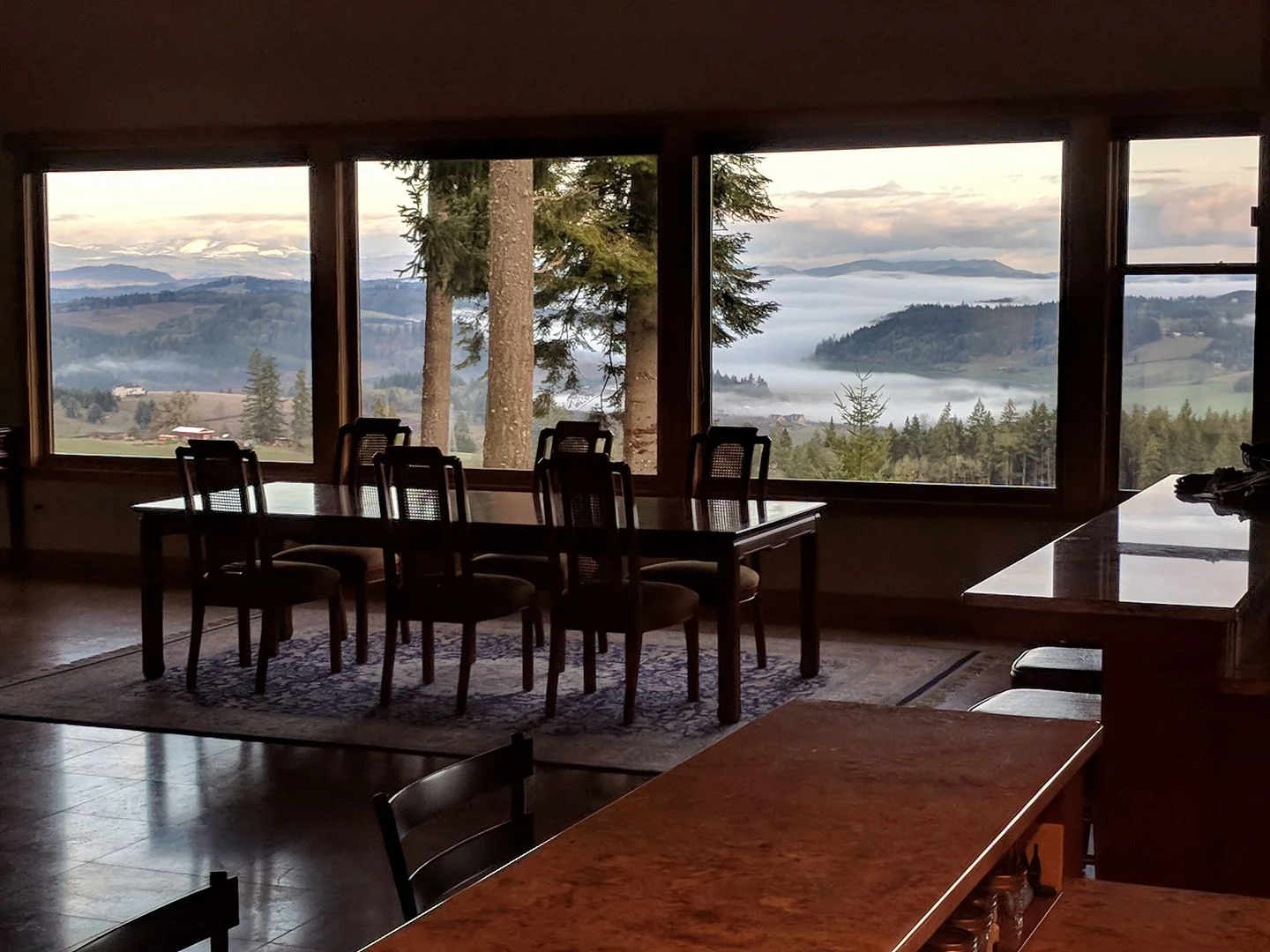 Native Flora | Dundee Hills Winery Sanctum