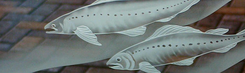 Pano-Glass-Fish.jpg