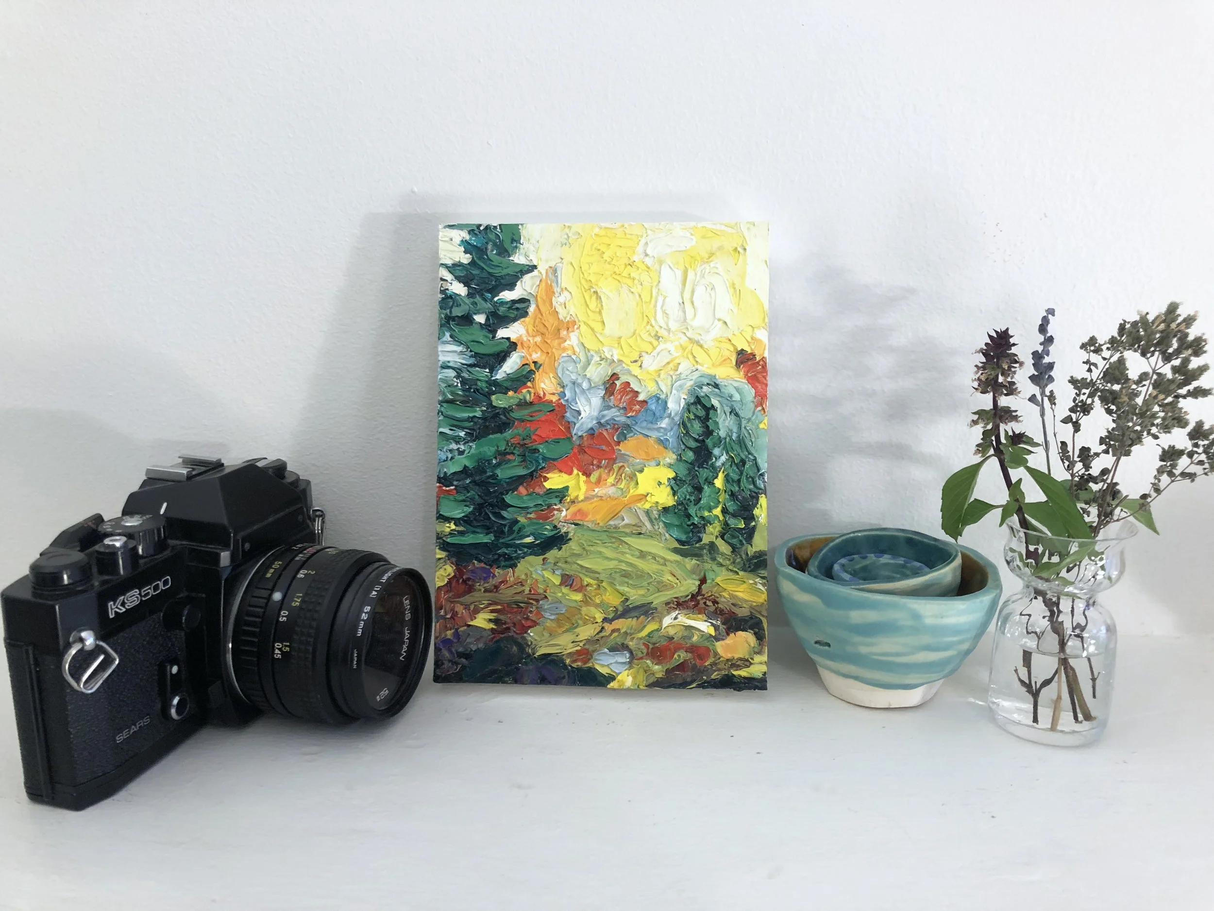 Tree in Clearning Context.jpg