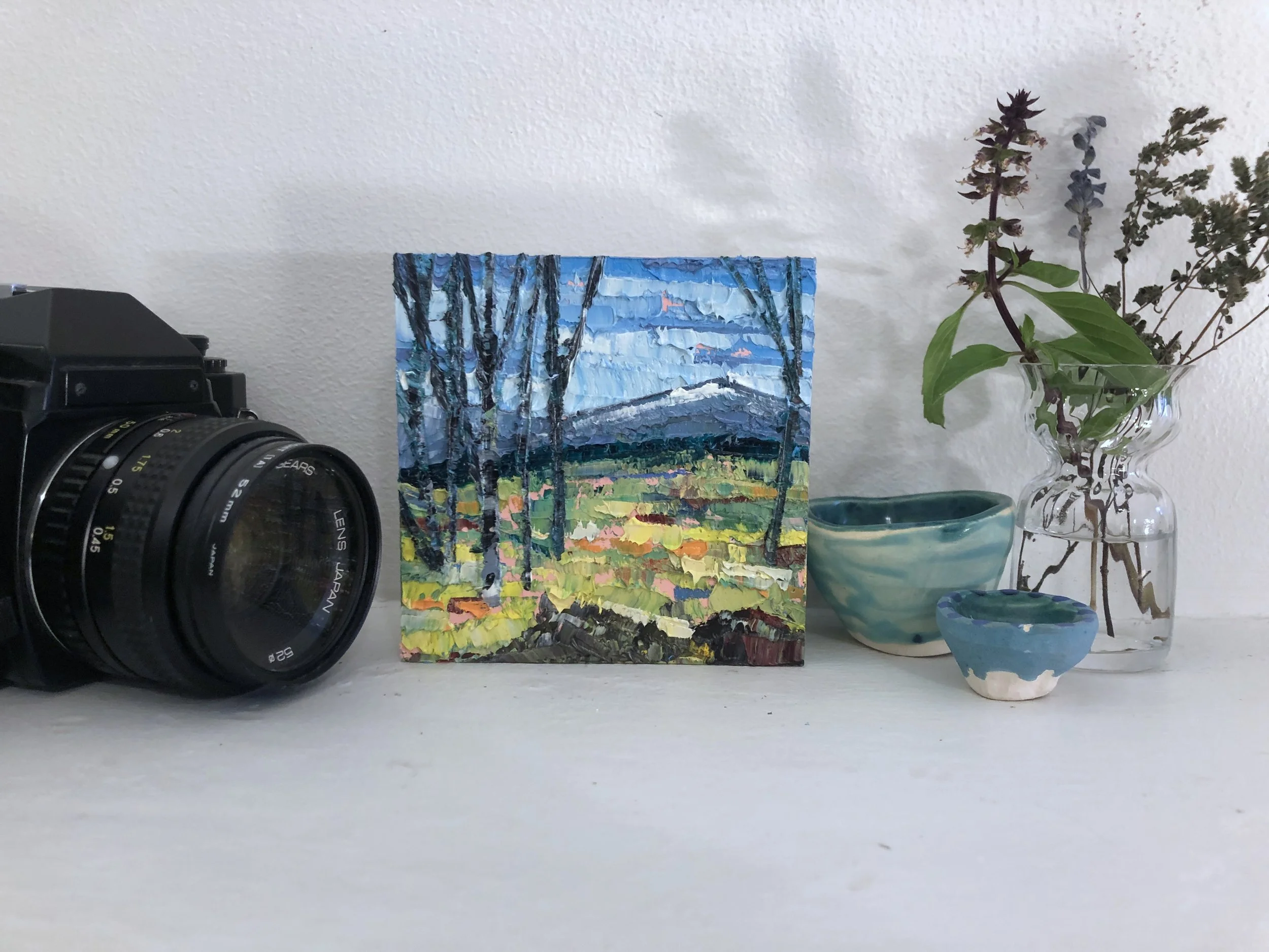 Trees in Field Context.jpg