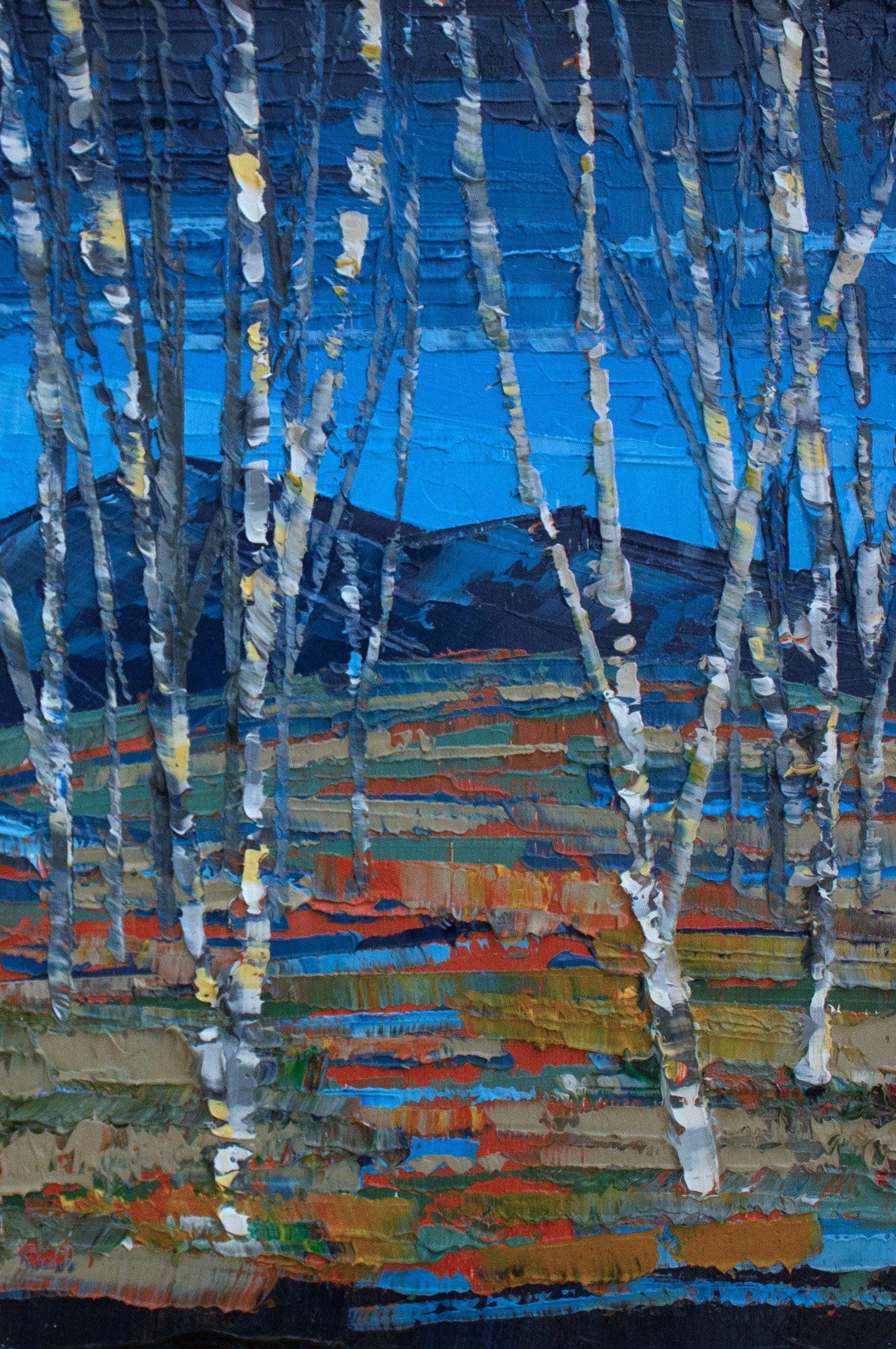 Birch Trees on a Clear Night (Small).jpg