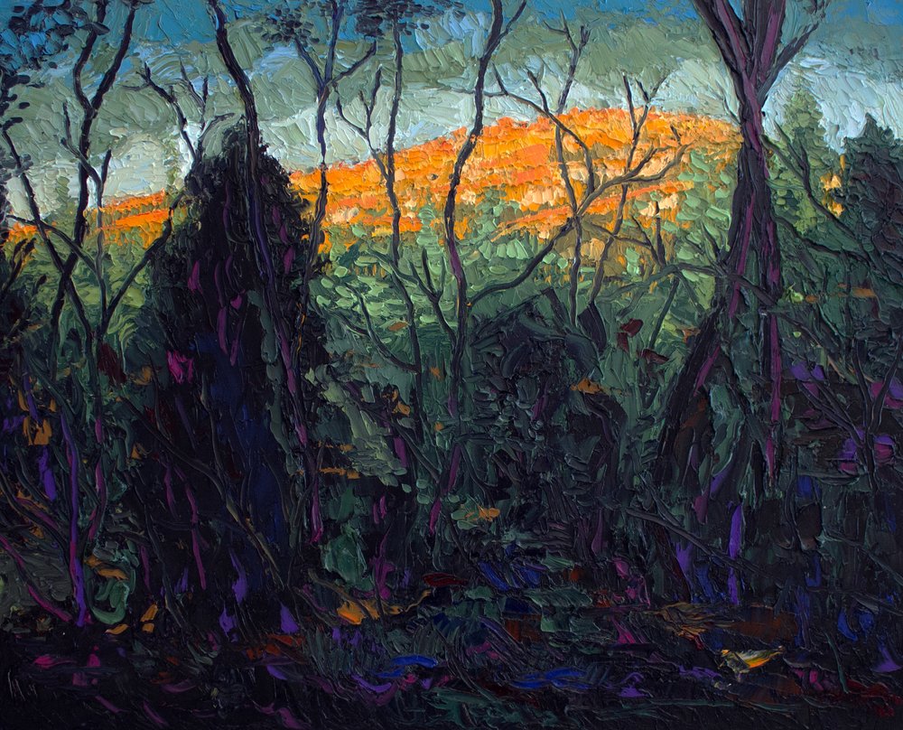The Woods at Sunset (16 x 20 inches)
