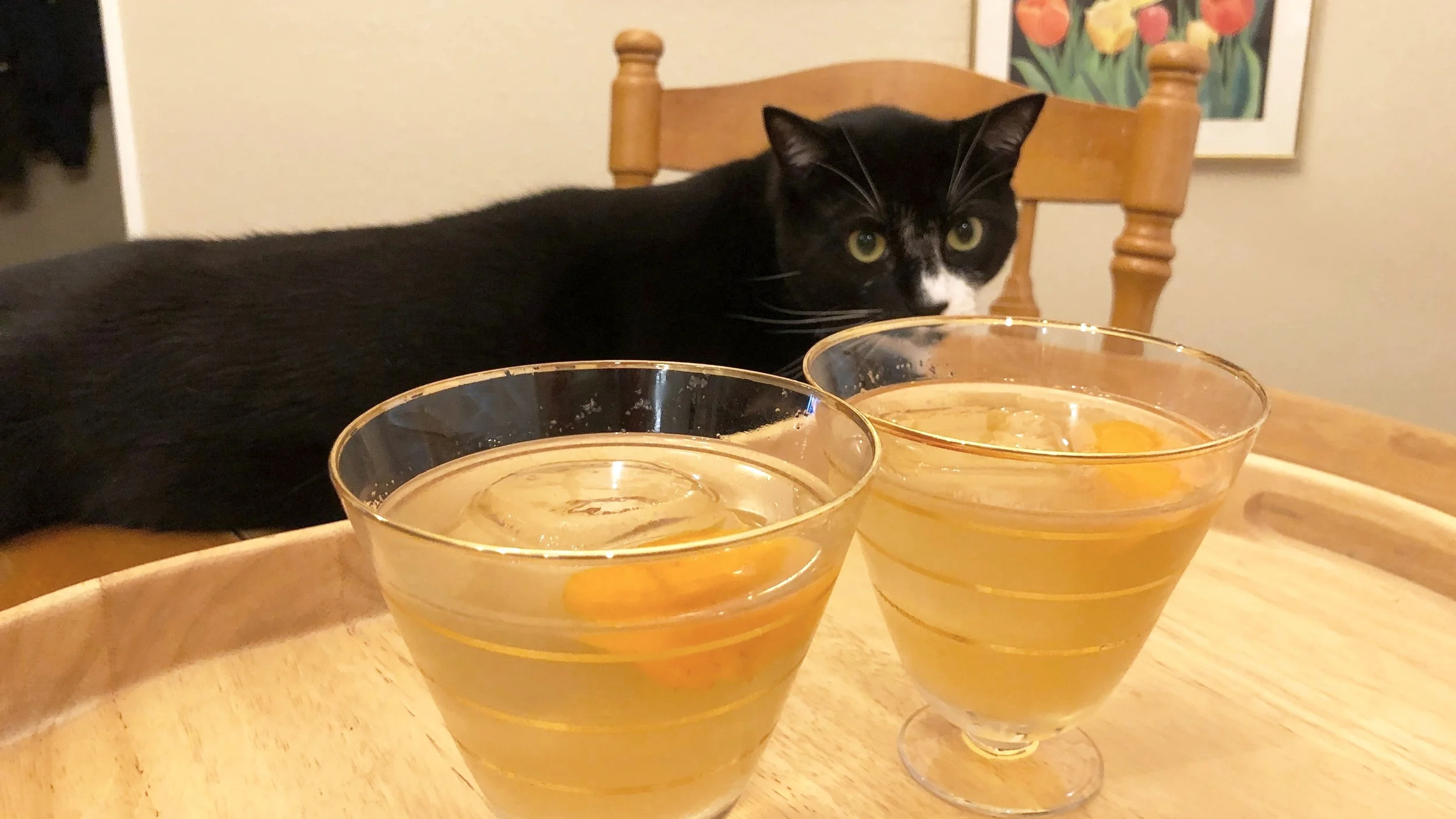 Manuscript and the cat…(this is Mab and she’s angry all the time)