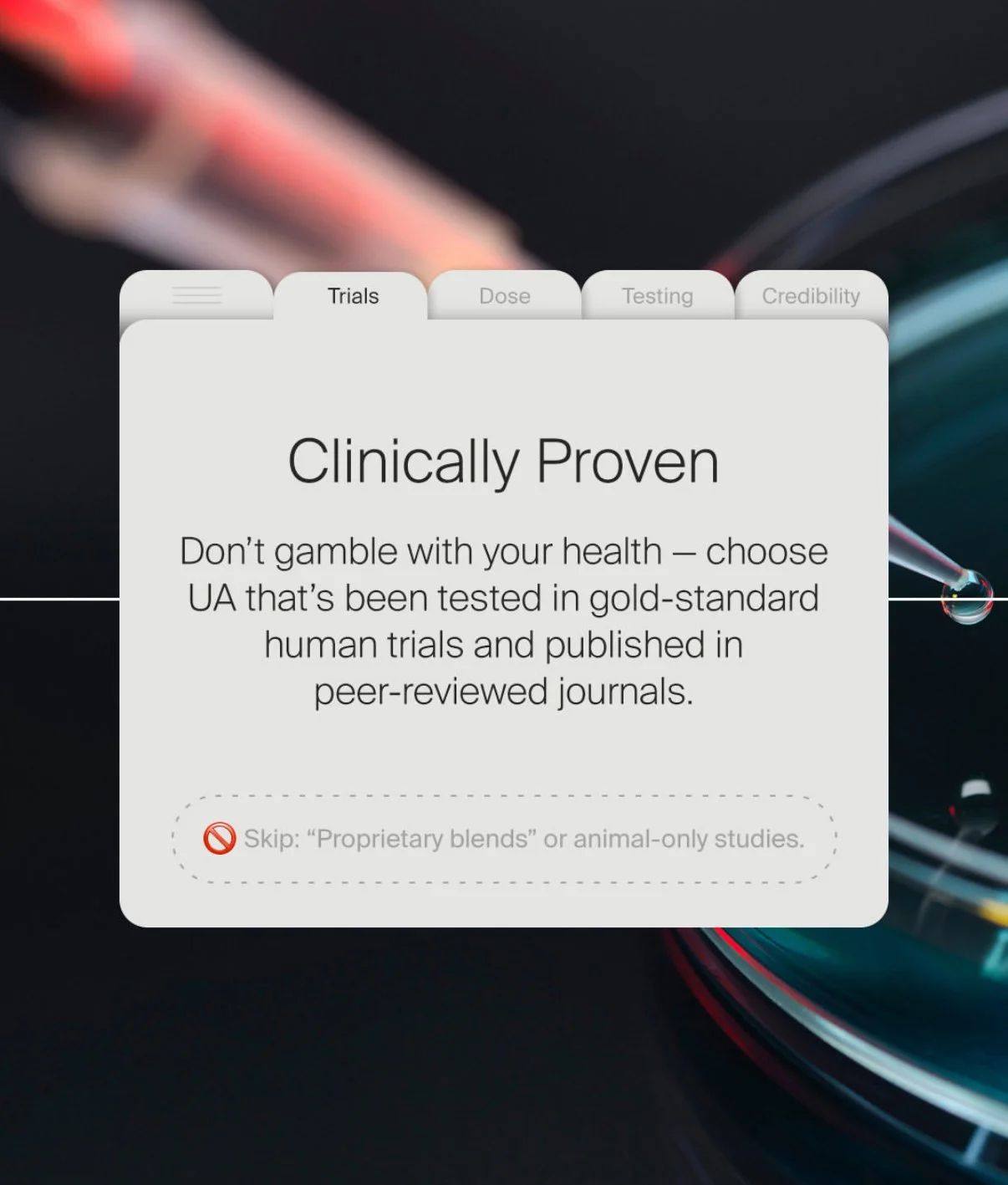 IMG_4252.jpg