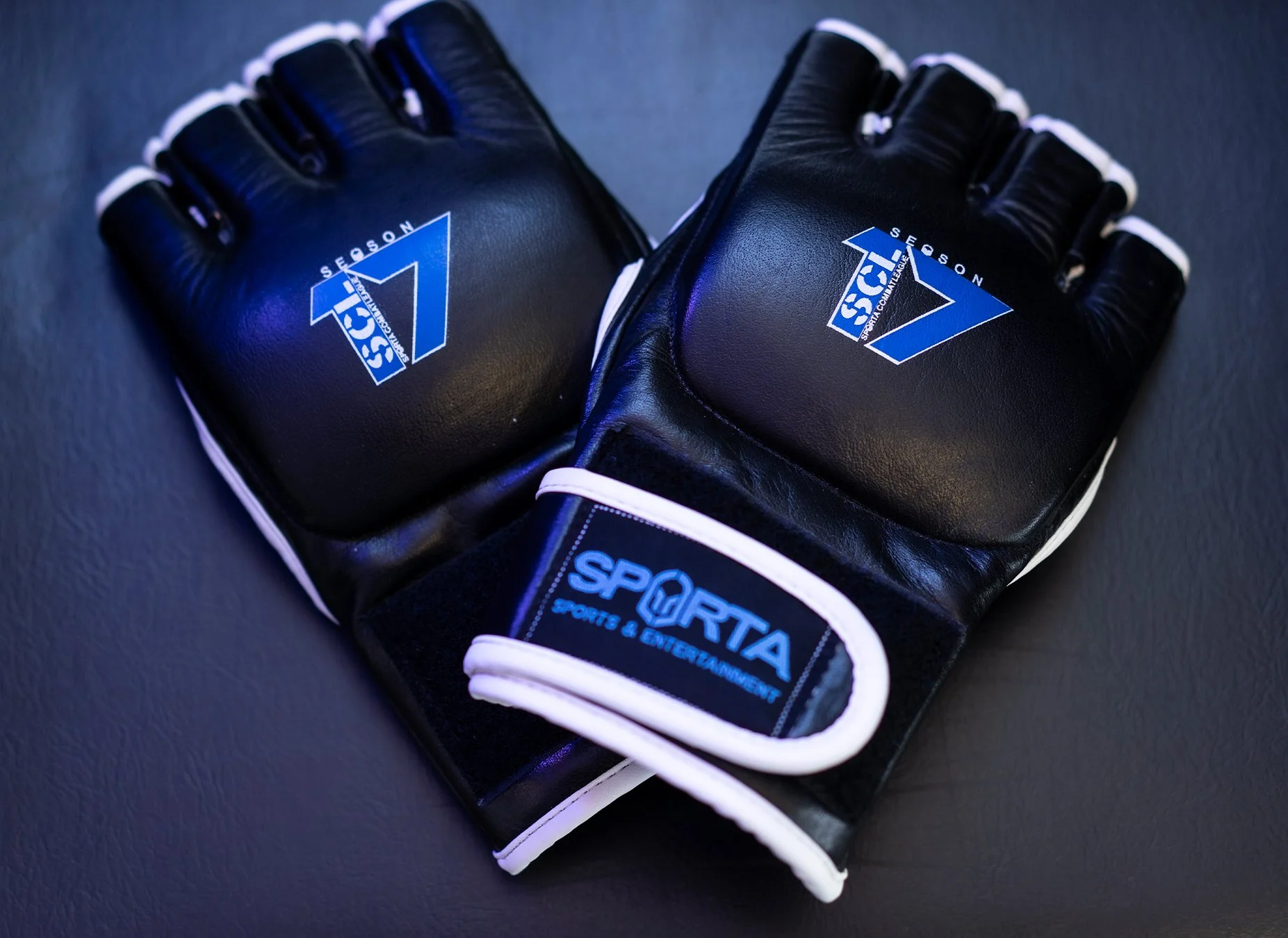 MMA Gloves.jpg