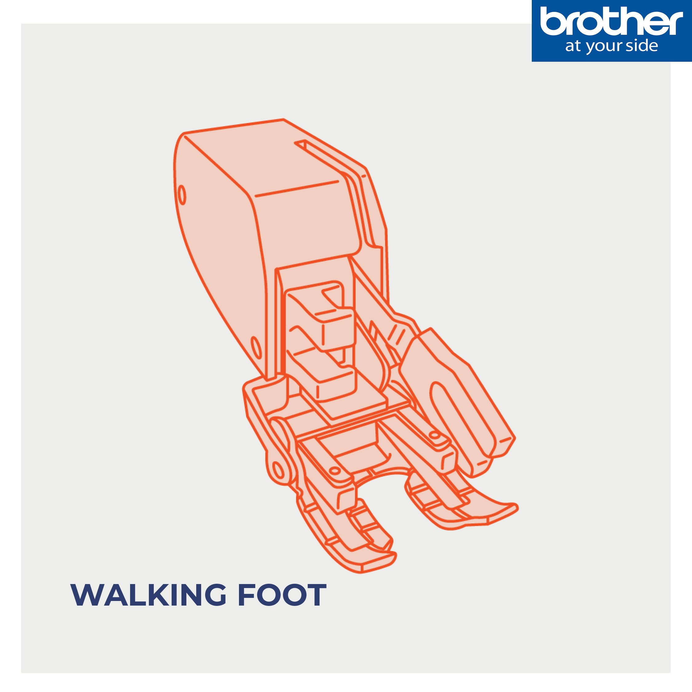 Walking Foot Illustration.jpg
