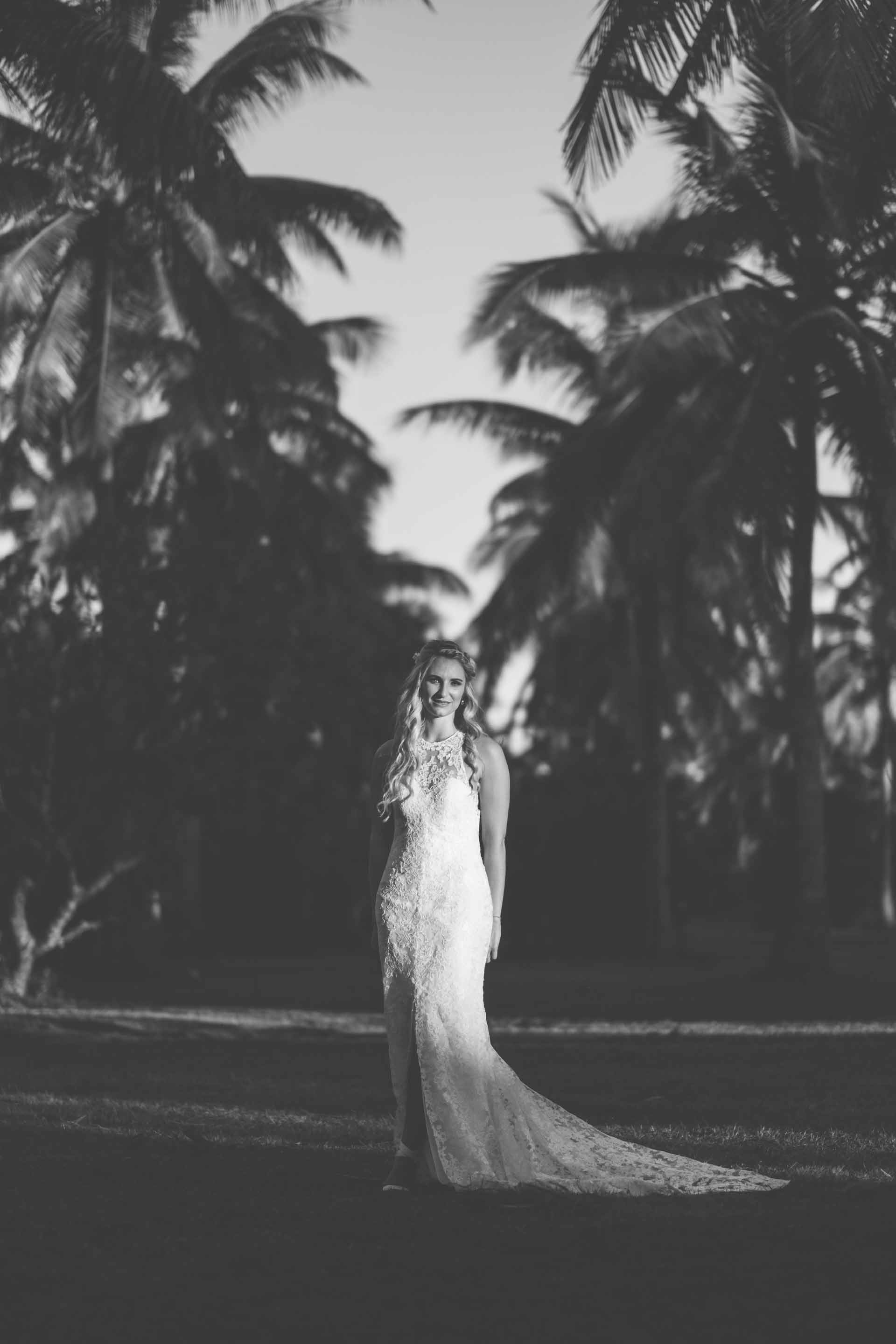 full length portrait of the bride between rows of coconut trees in black and white