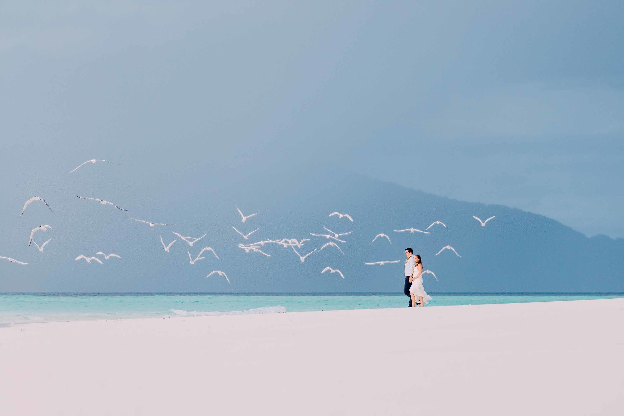 Flock of white gulls take flight as the bride and groom explore their own piece of paradise where they got married. 